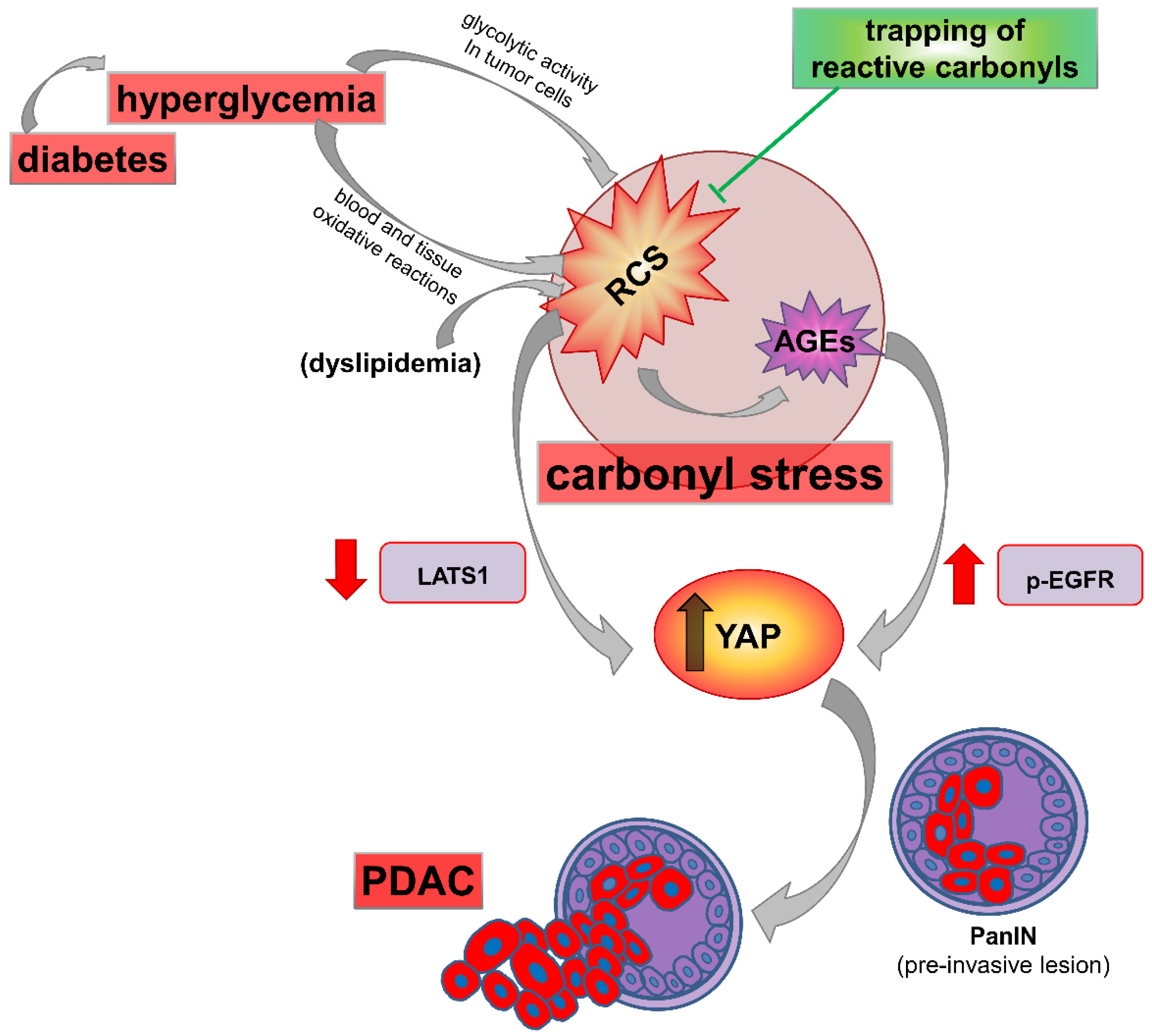 Cancers 13 00313 g006 Cancers 13 00313 g006