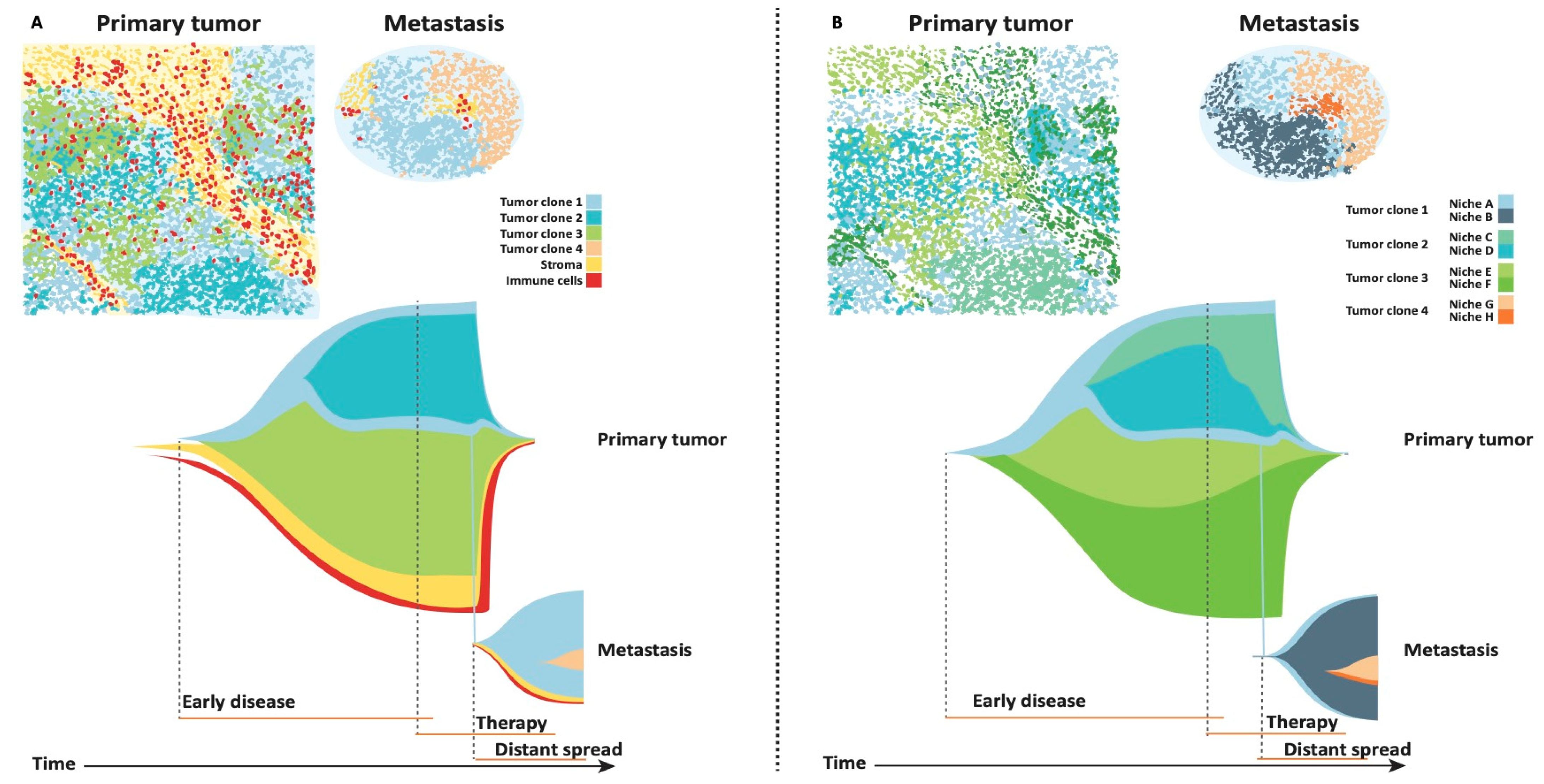 Cancers 13 00316 g002