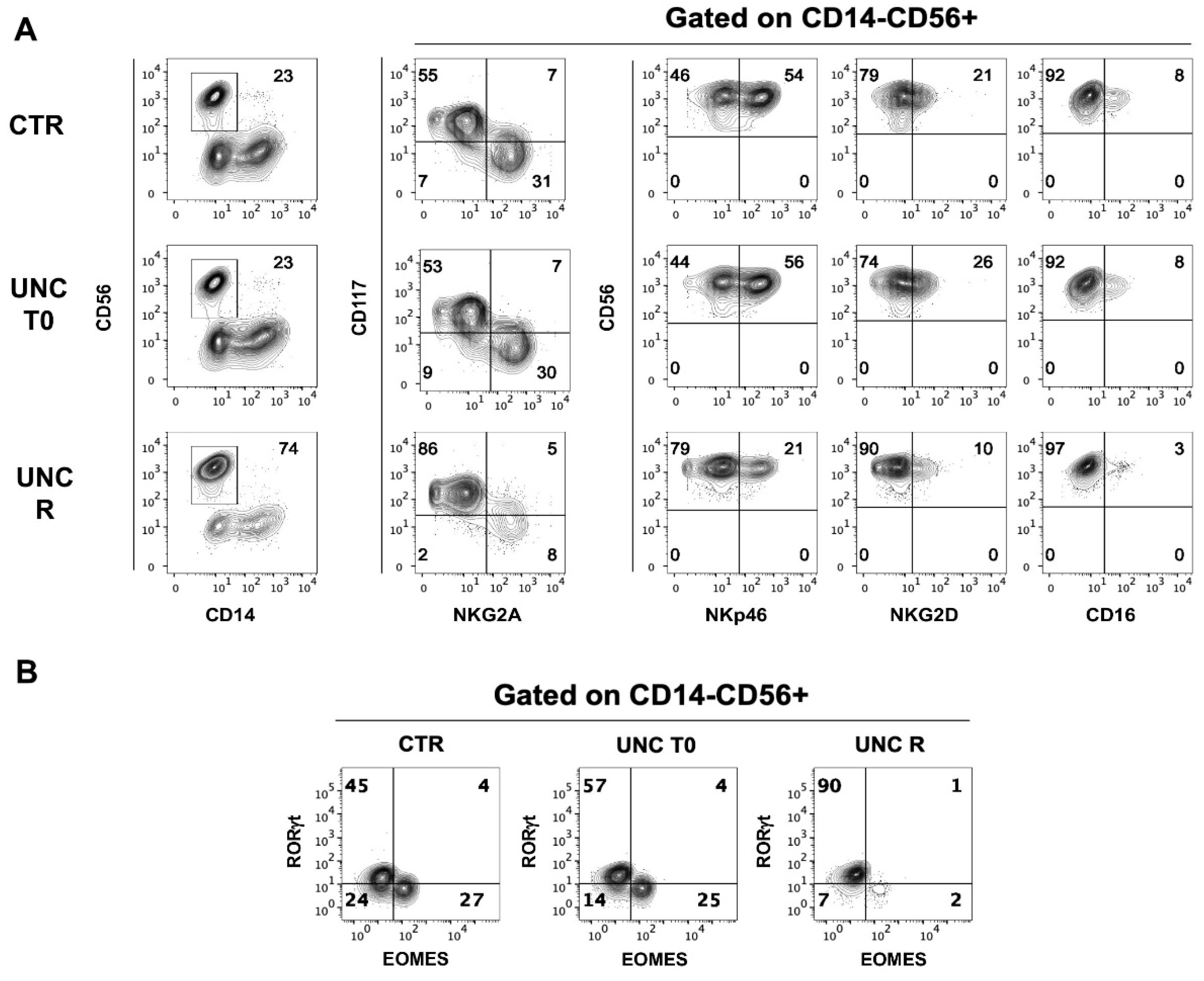 Cancers 13 00319 g008
