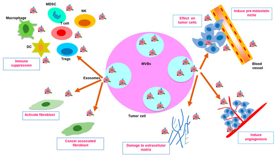 Trends in Research on Exosomes in Cancer Progression and