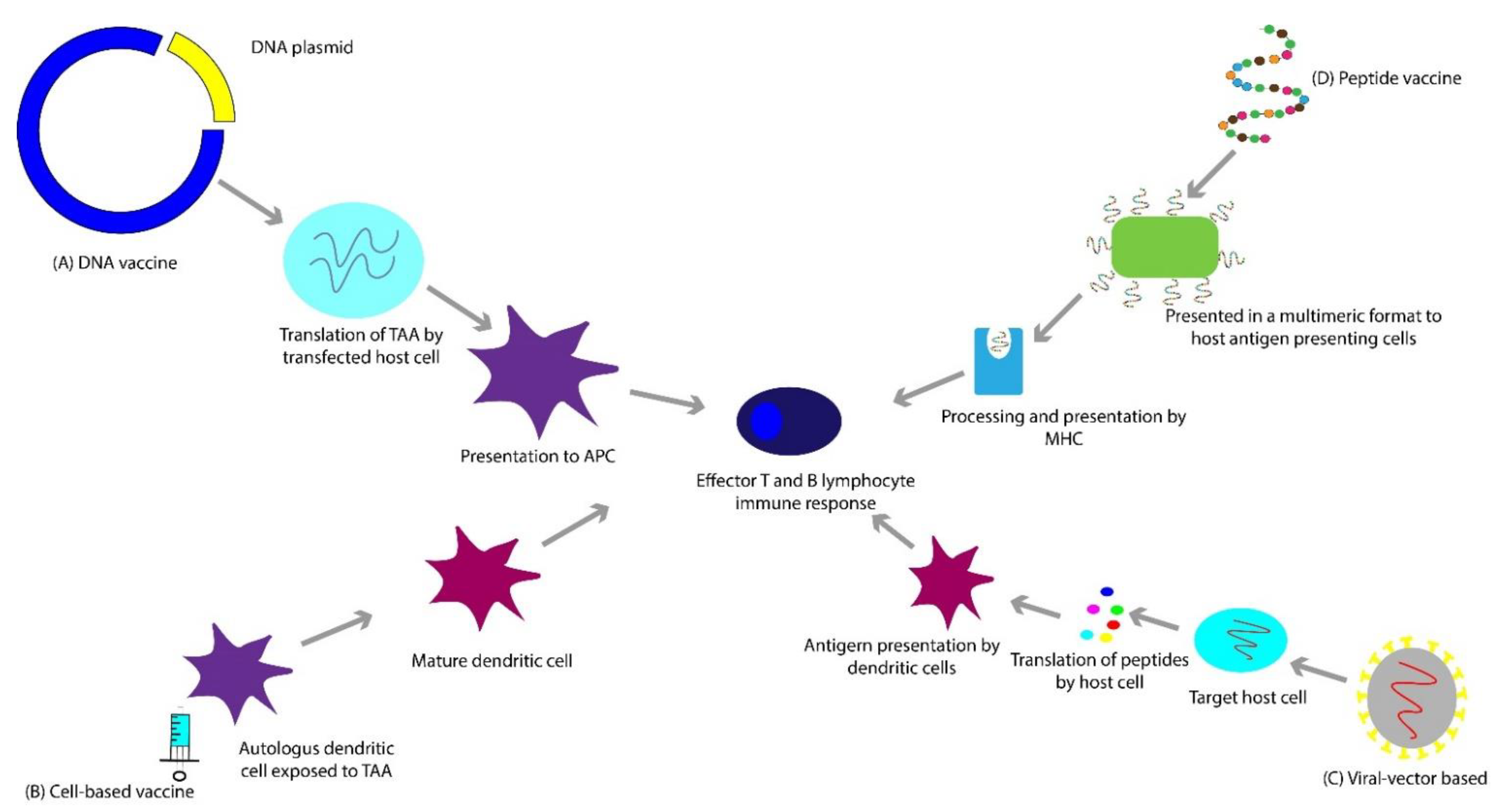 Cancers 13 00334 g001 Cancers 13 00334 g001