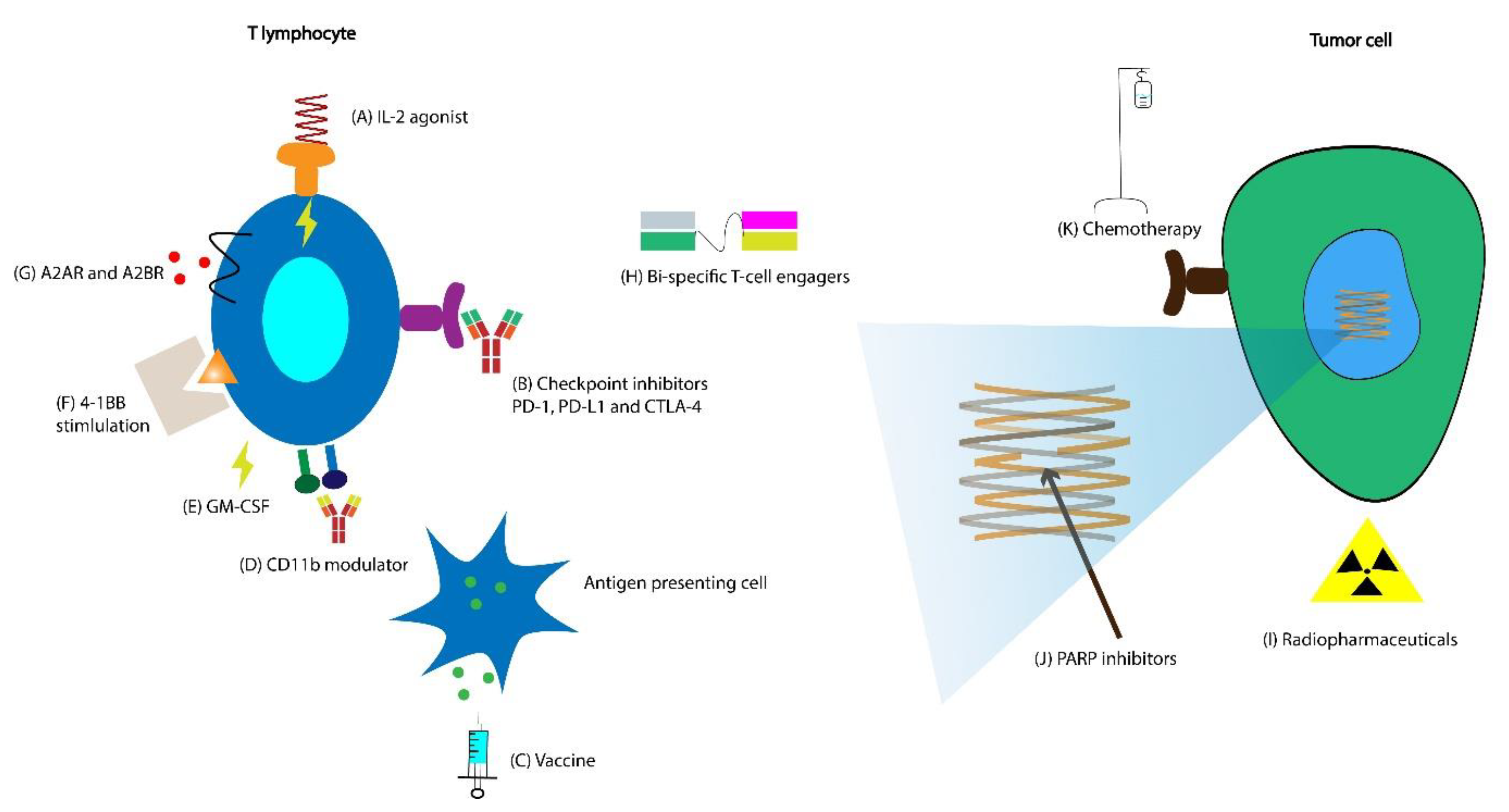 prostate cancer immunotherapy clinical trials