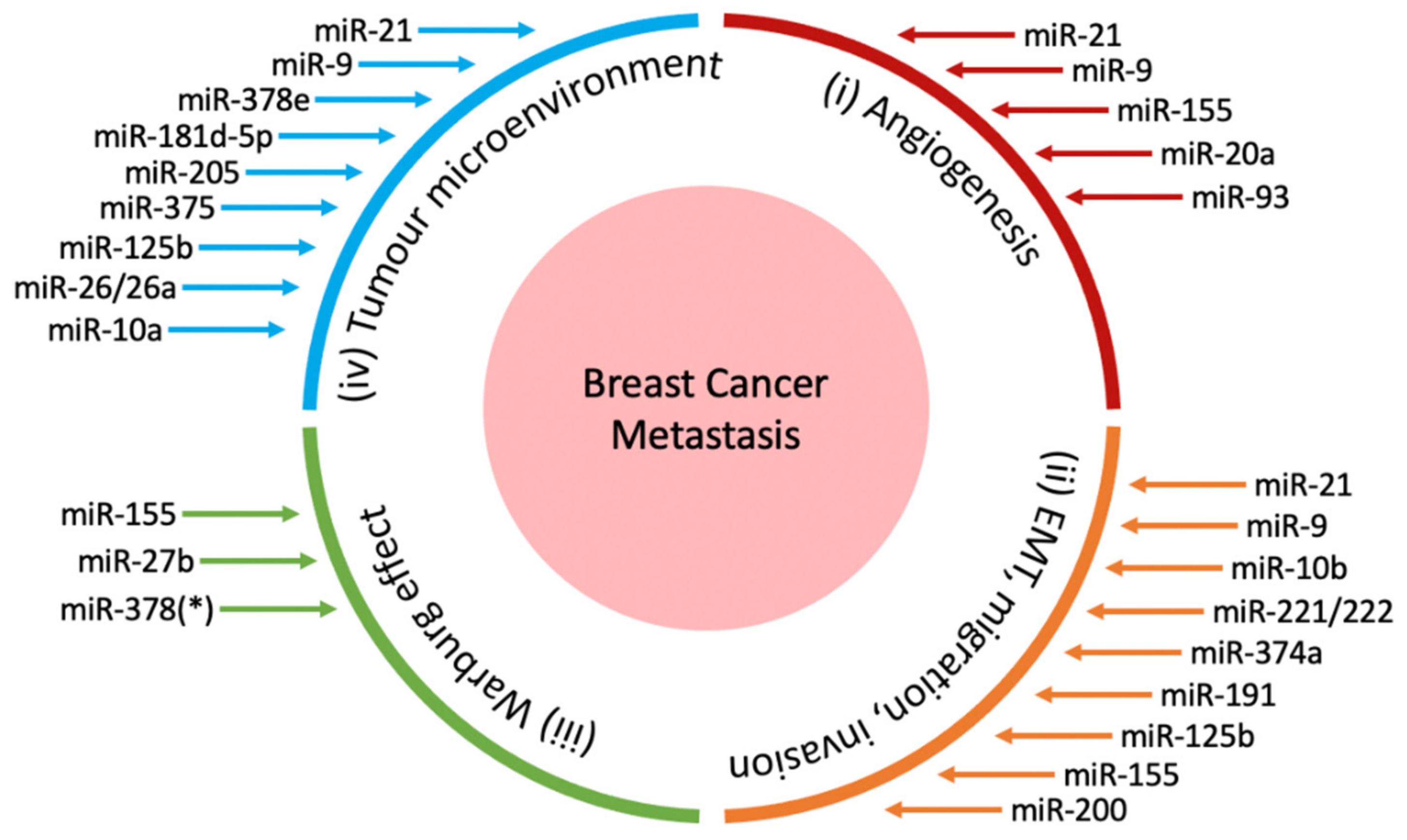 Cancers 13 00337 g001 Cancers 13 00337 g001