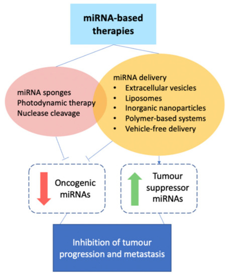 Tiny miRNAs Play a Big Role in the Treatment of Breast Cancer Metastasis