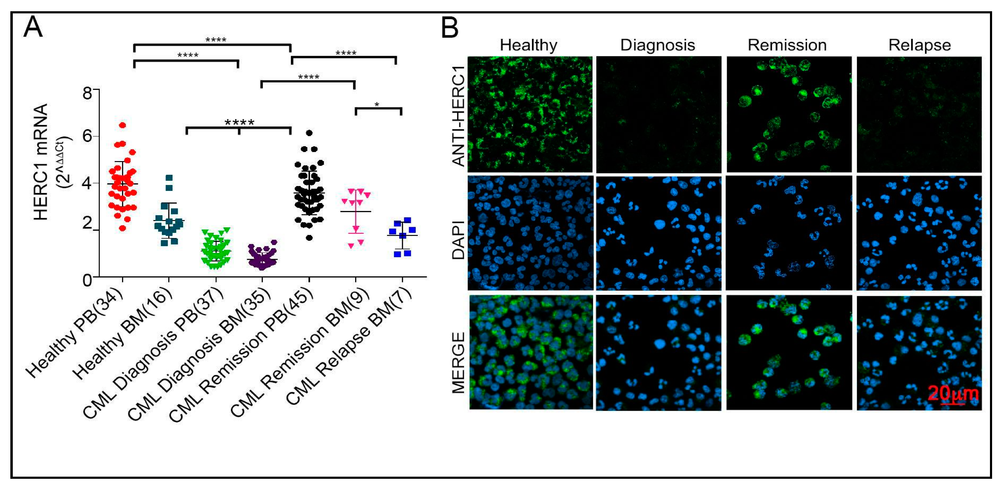 Cancers 13 00341 g004