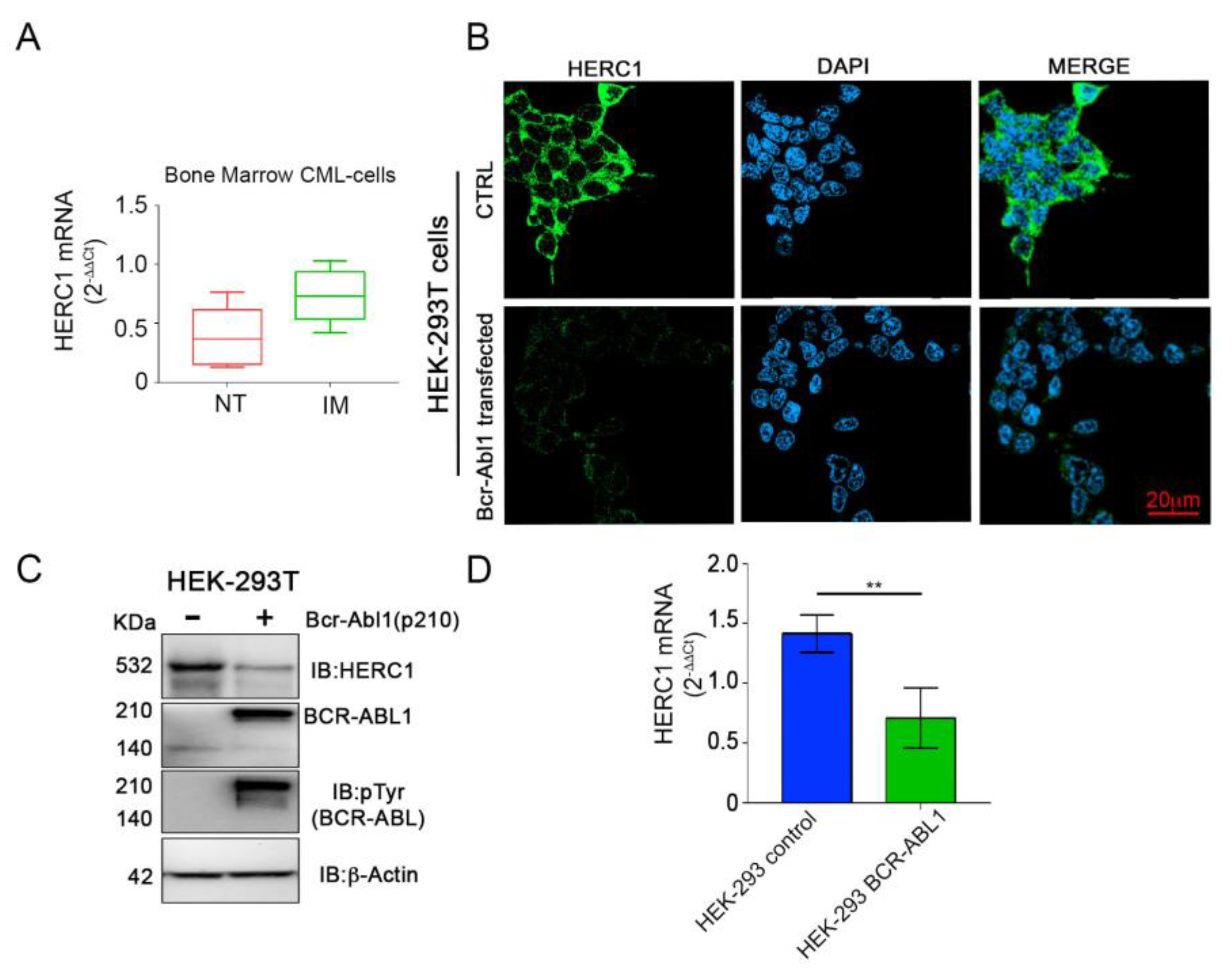 Cancers 13 00341 g005