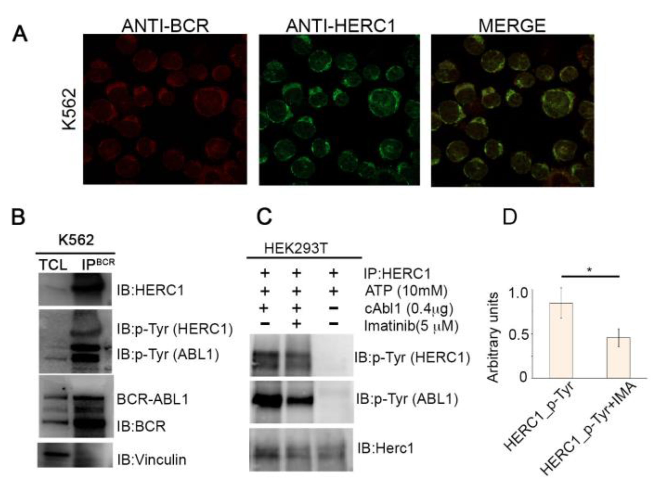 Cancers 13 00341 g006