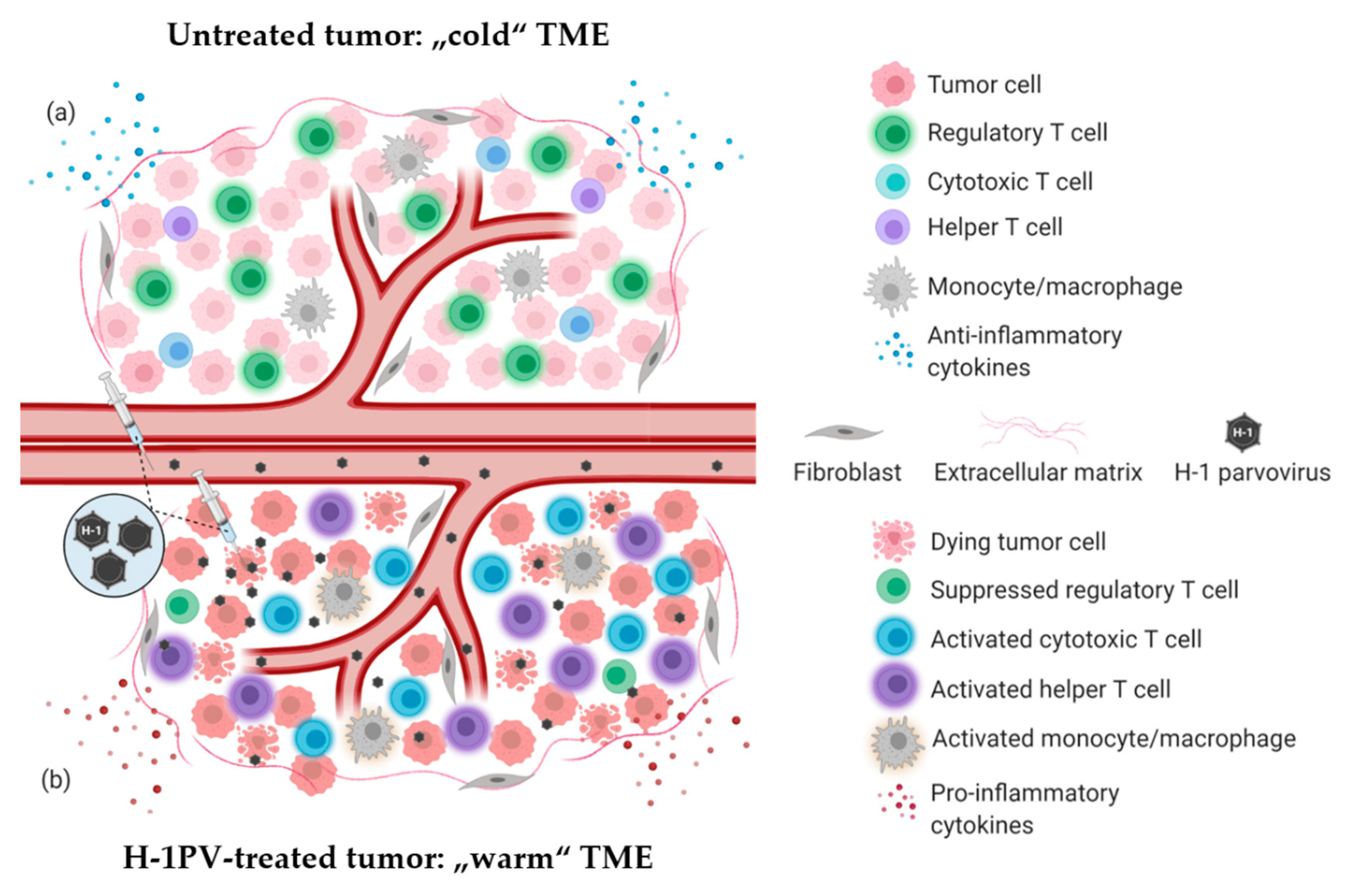 Cancers 13 00342 g001