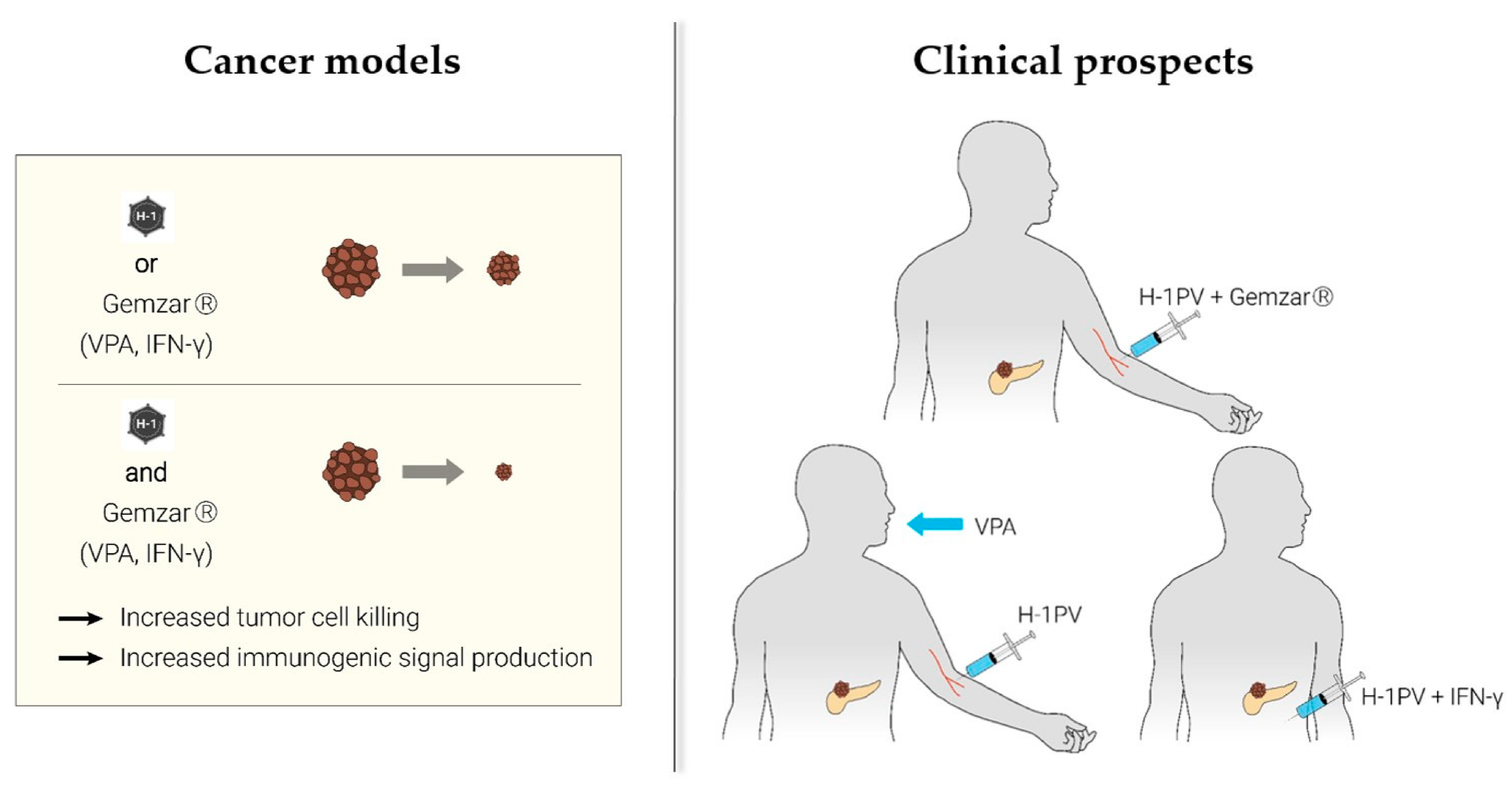 Cancers 13 00342 g002