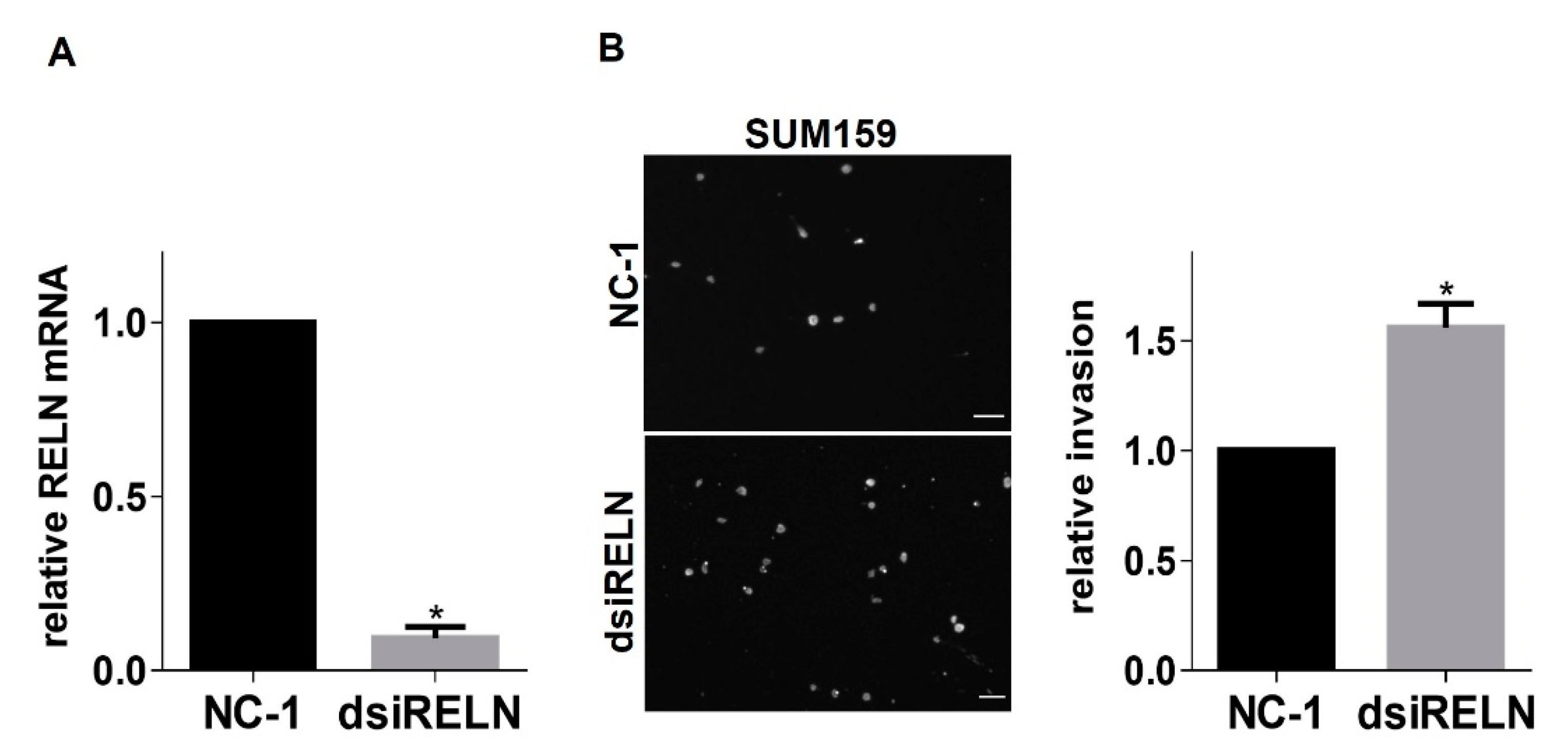 Cancers 13 00344 g005 Cancers 13 00344 g005