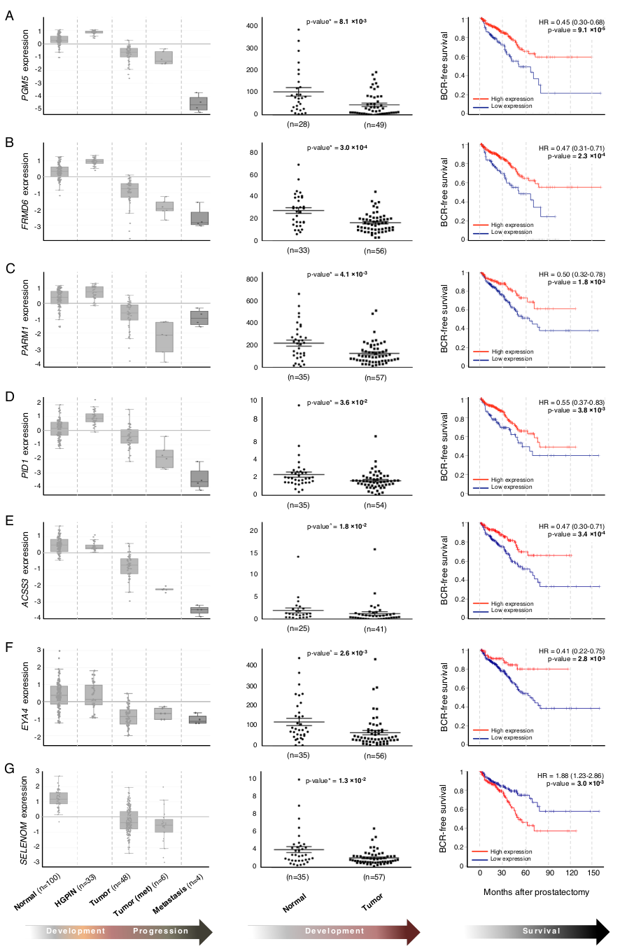 Cancers 13 00345 g004
