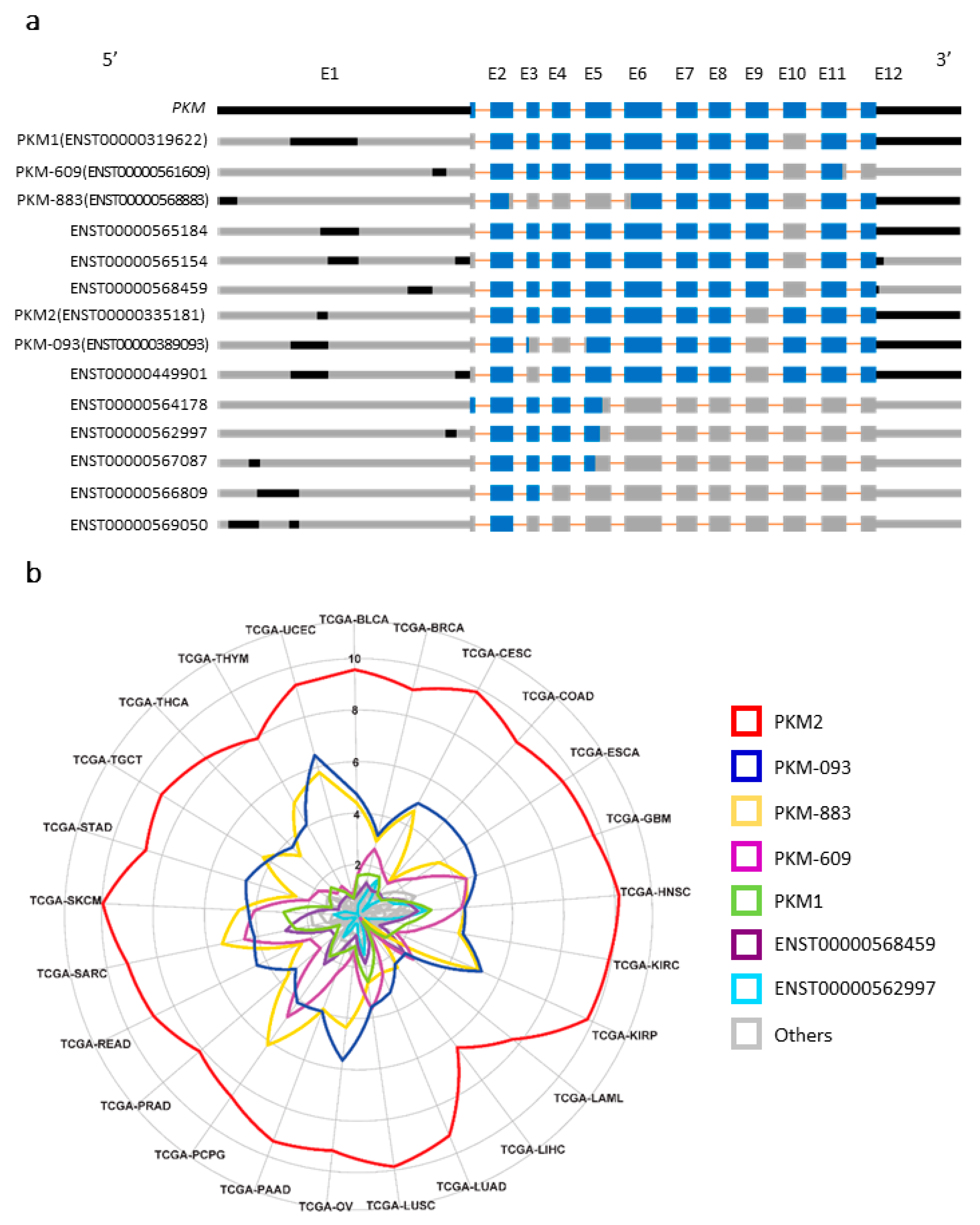 Cancers 13 00348 g001