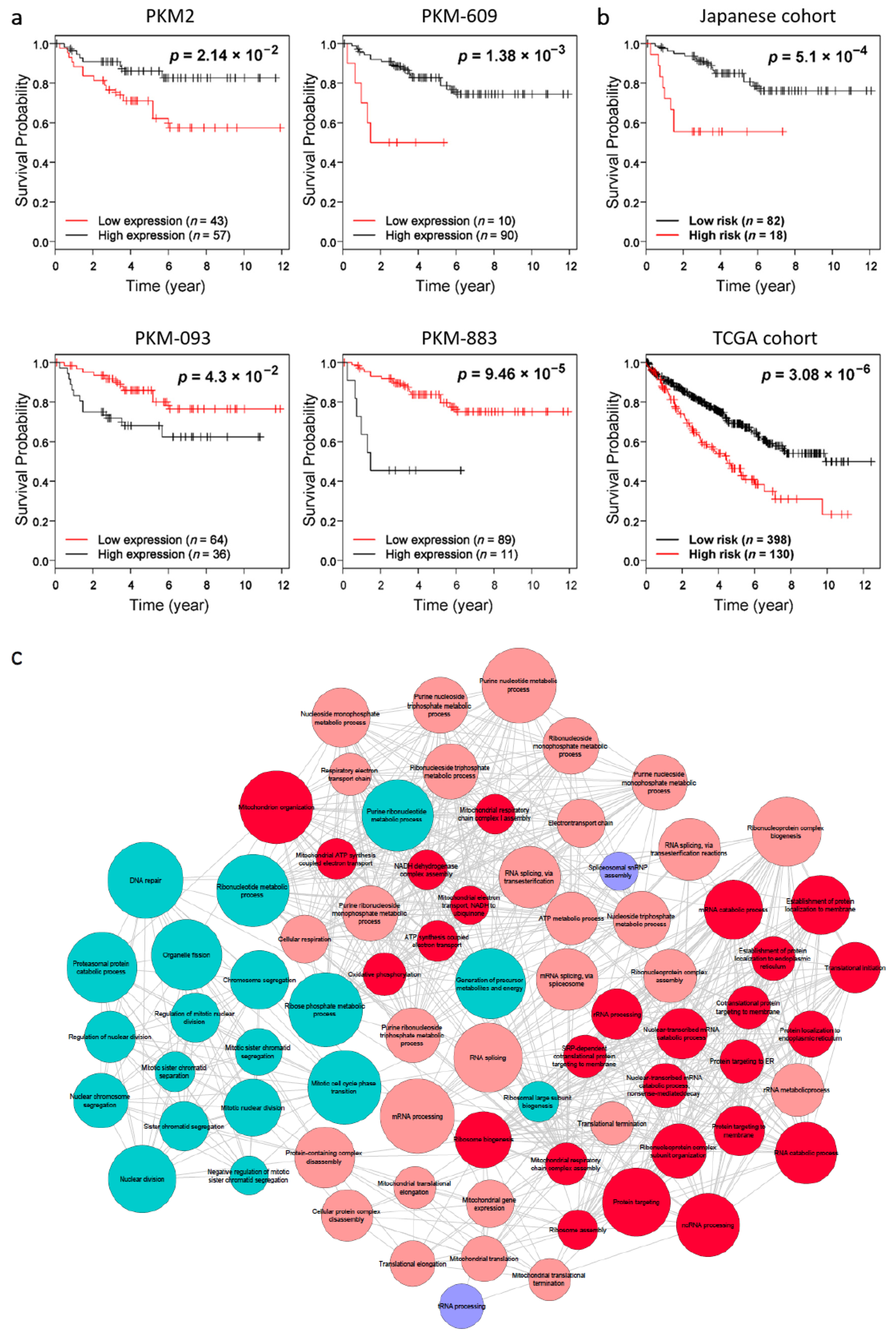 Cancers 13 00348 g003