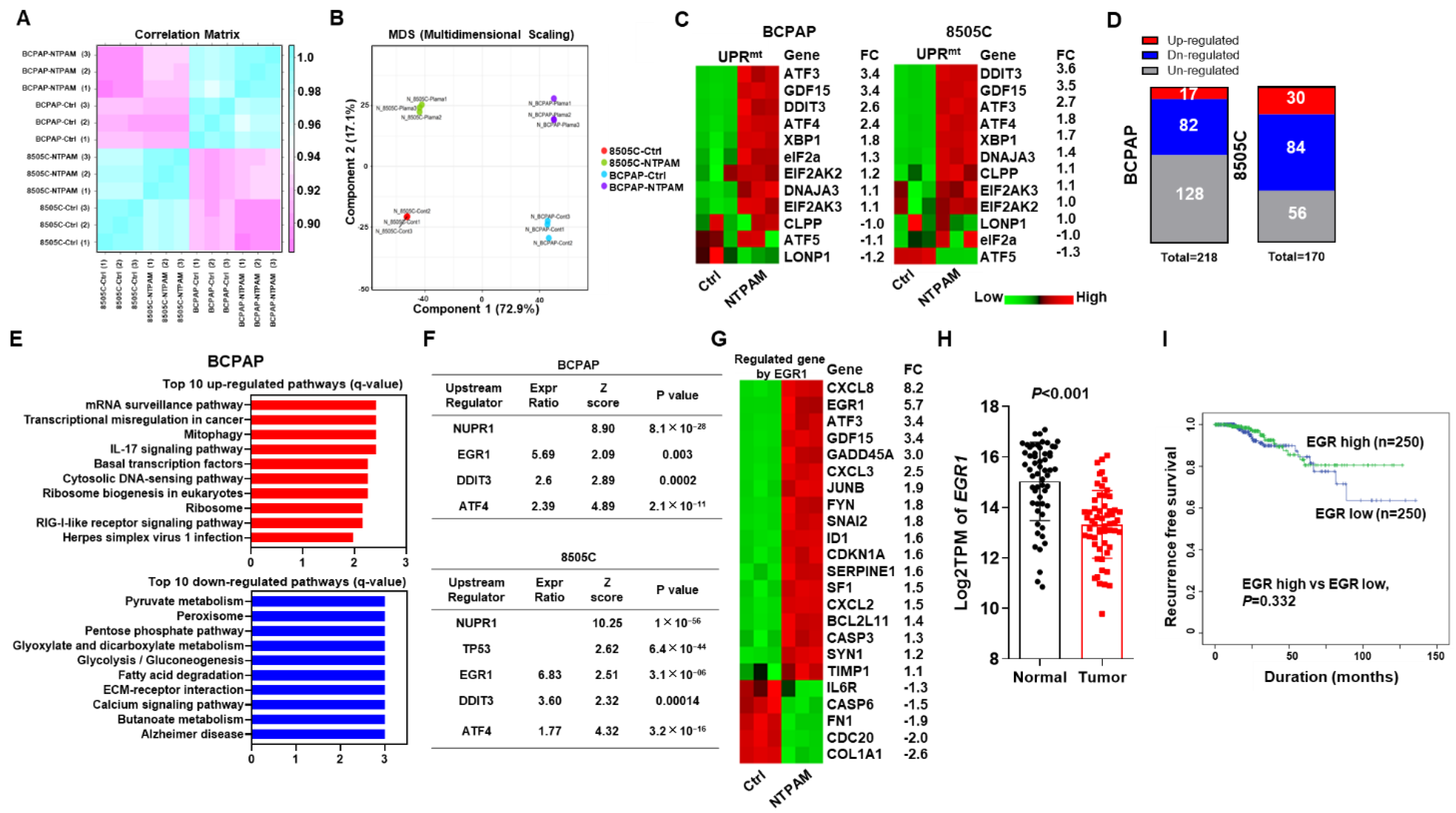 Cancers 13 00351 g003 Cancers 13 00351 g003
