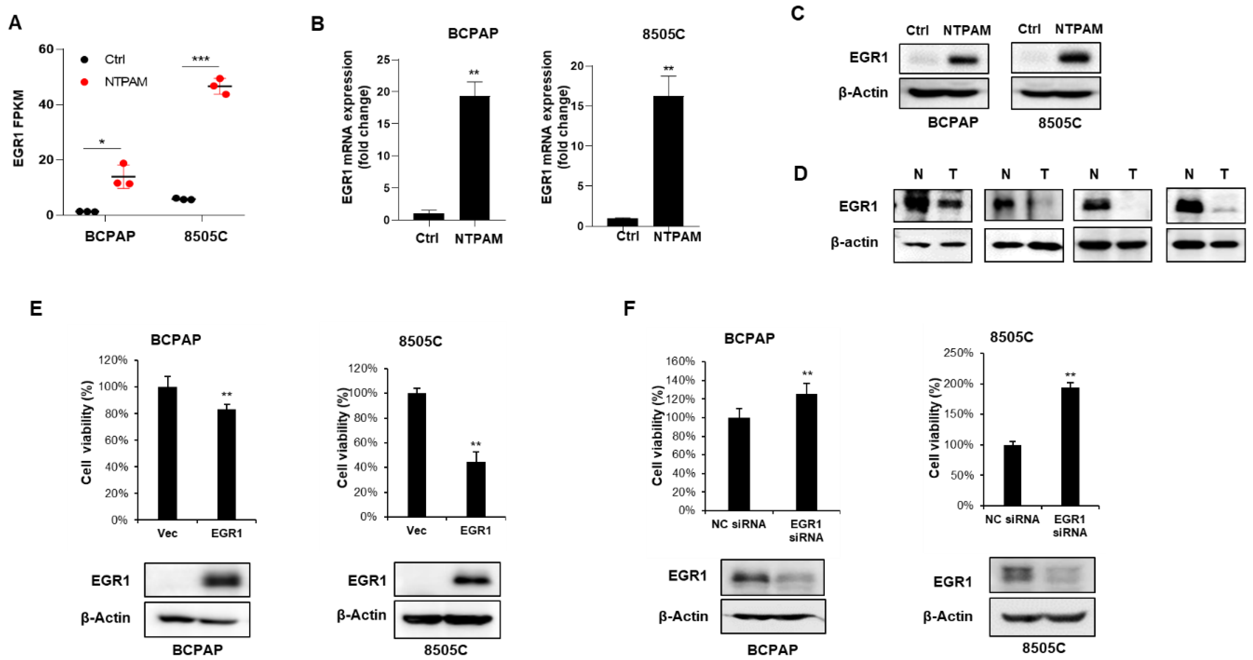 Cancers 13 00351 g004 Cancers 13 00351 g004