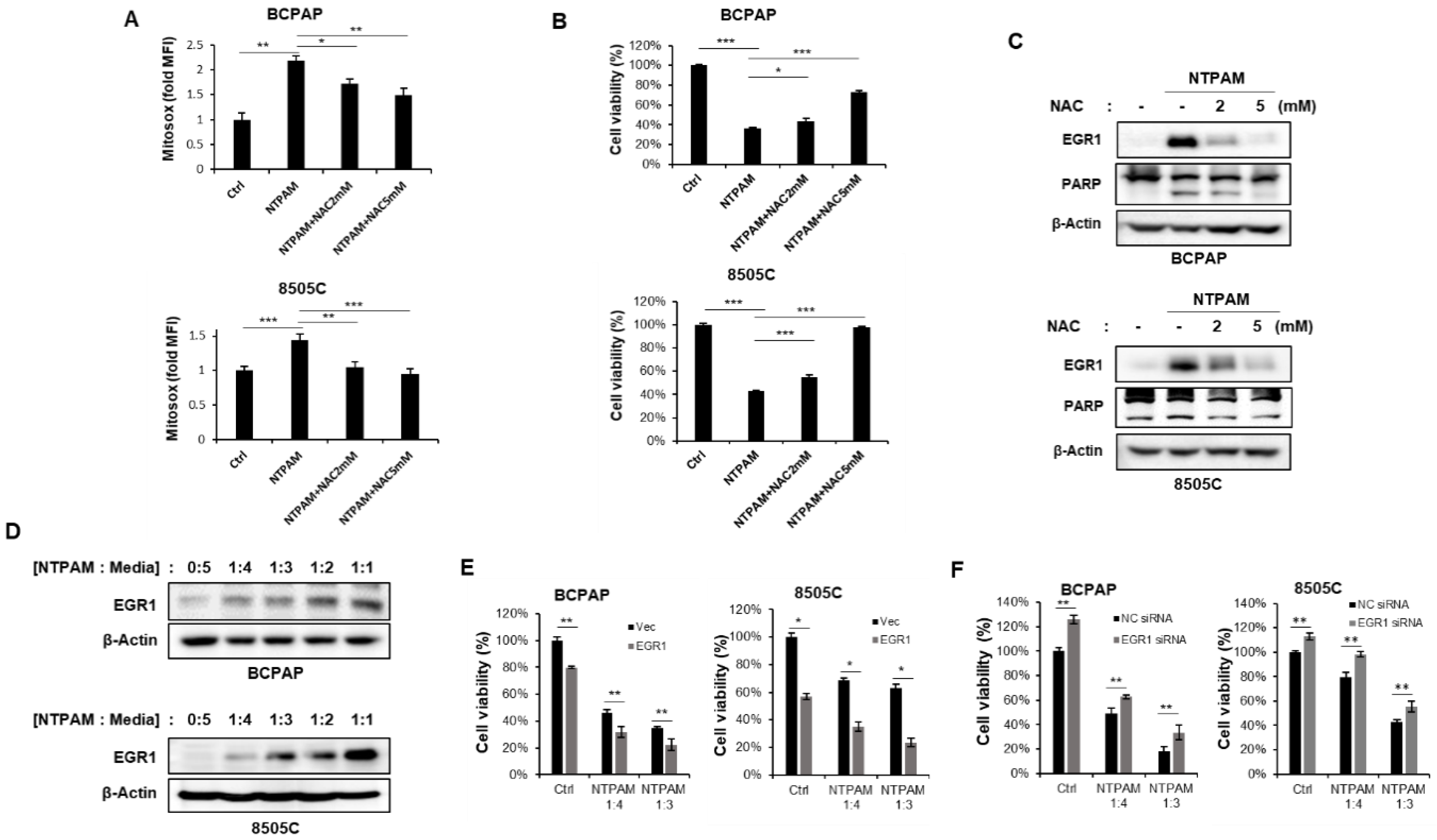 Cancers 13 00351 g005 Cancers 13 00351 g005