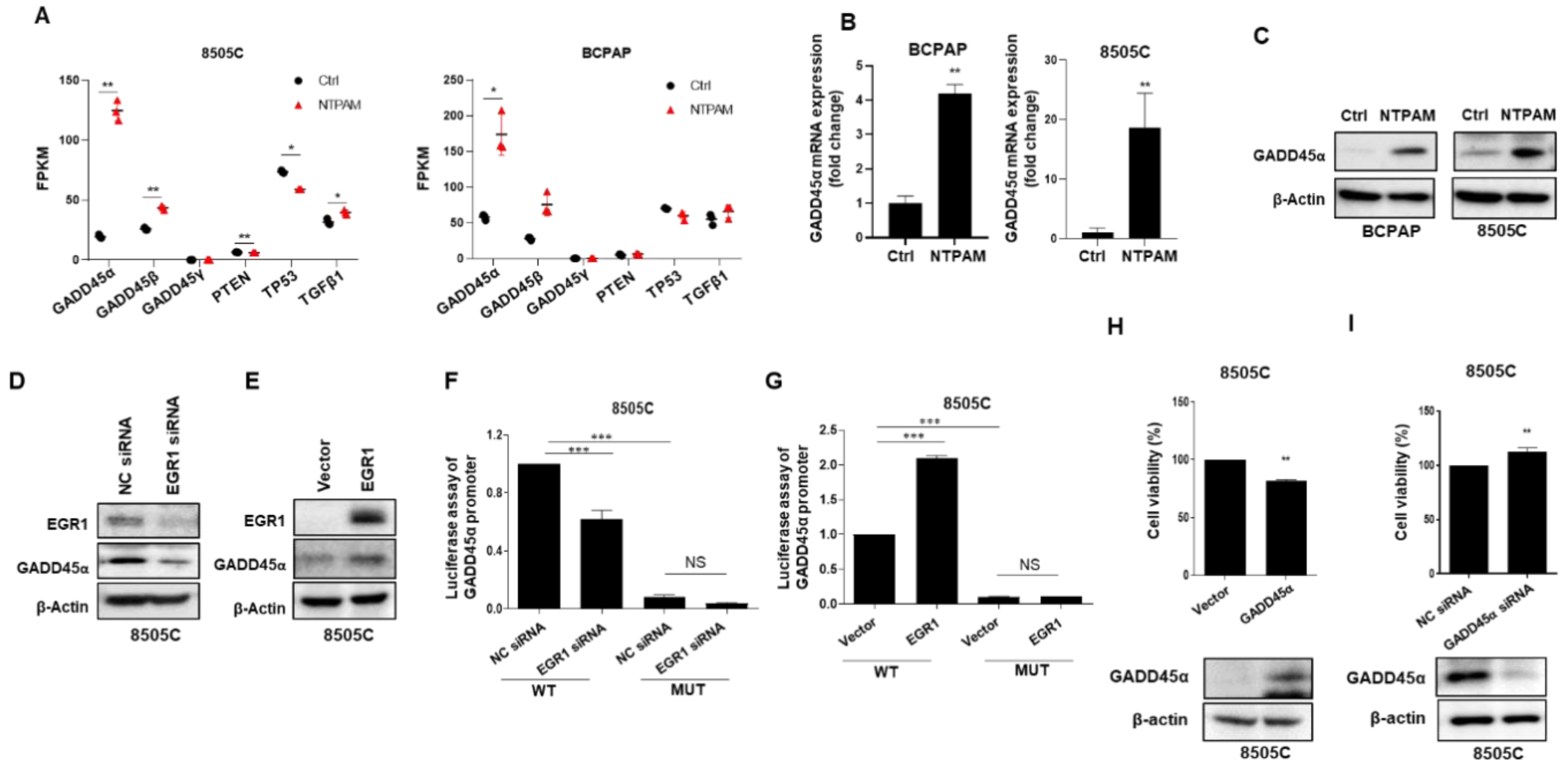 Cancers 13 00351 g006 Cancers 13 00351 g006