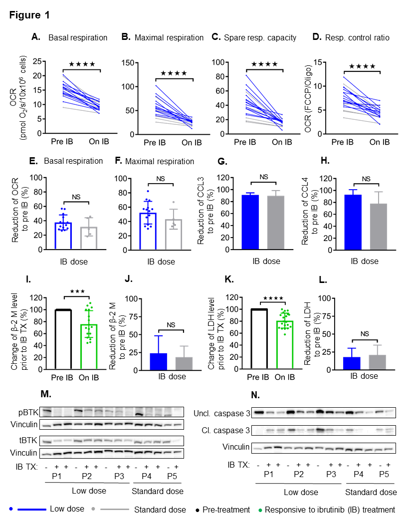 Cancers 13 00354 g001 Cancers 13 00354 g001