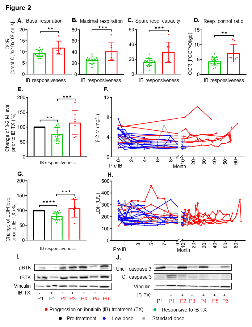 Cancers 13 00354 g002 Cancers 13 00354 g002