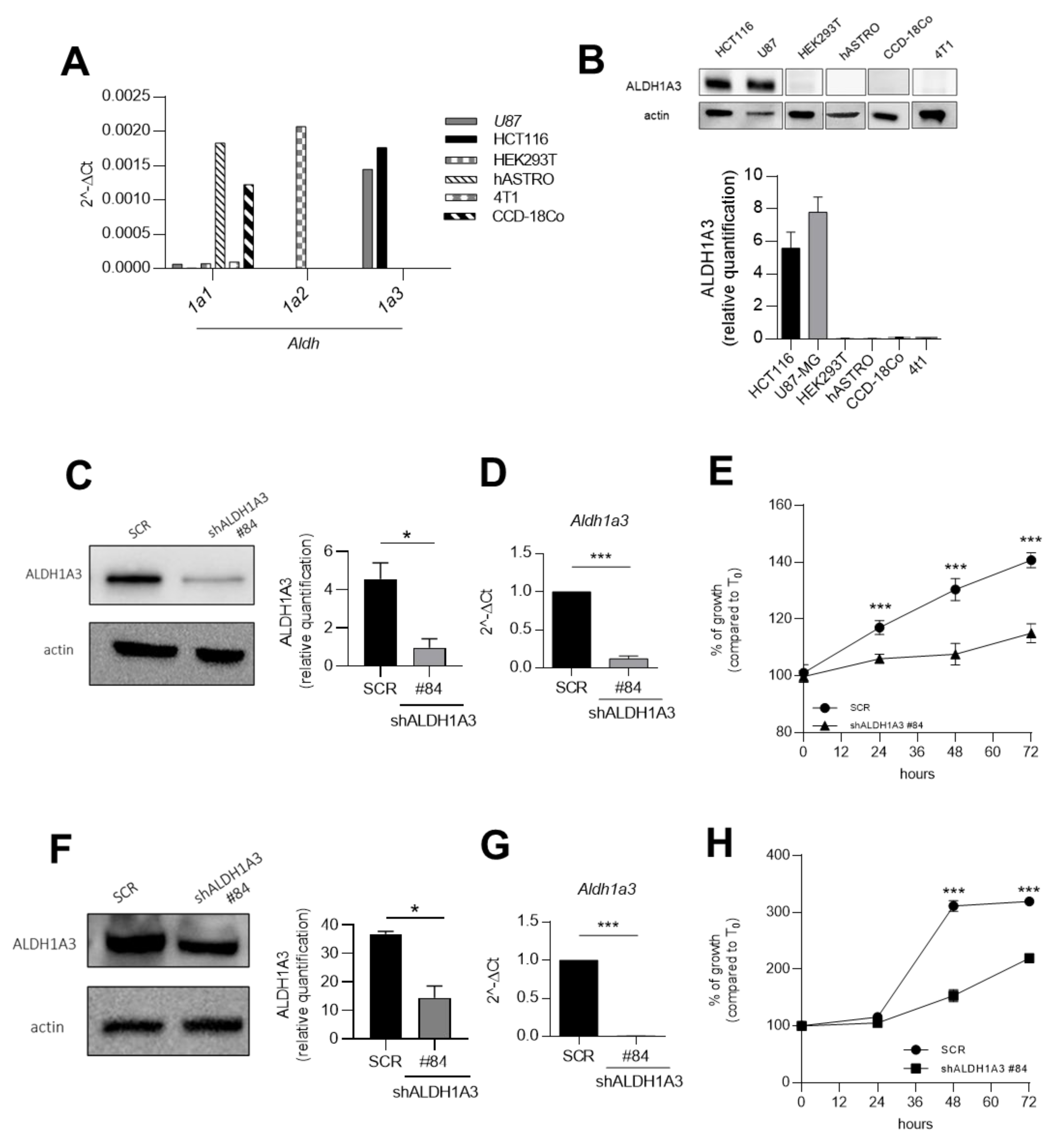 Cancers 13 00356 g001