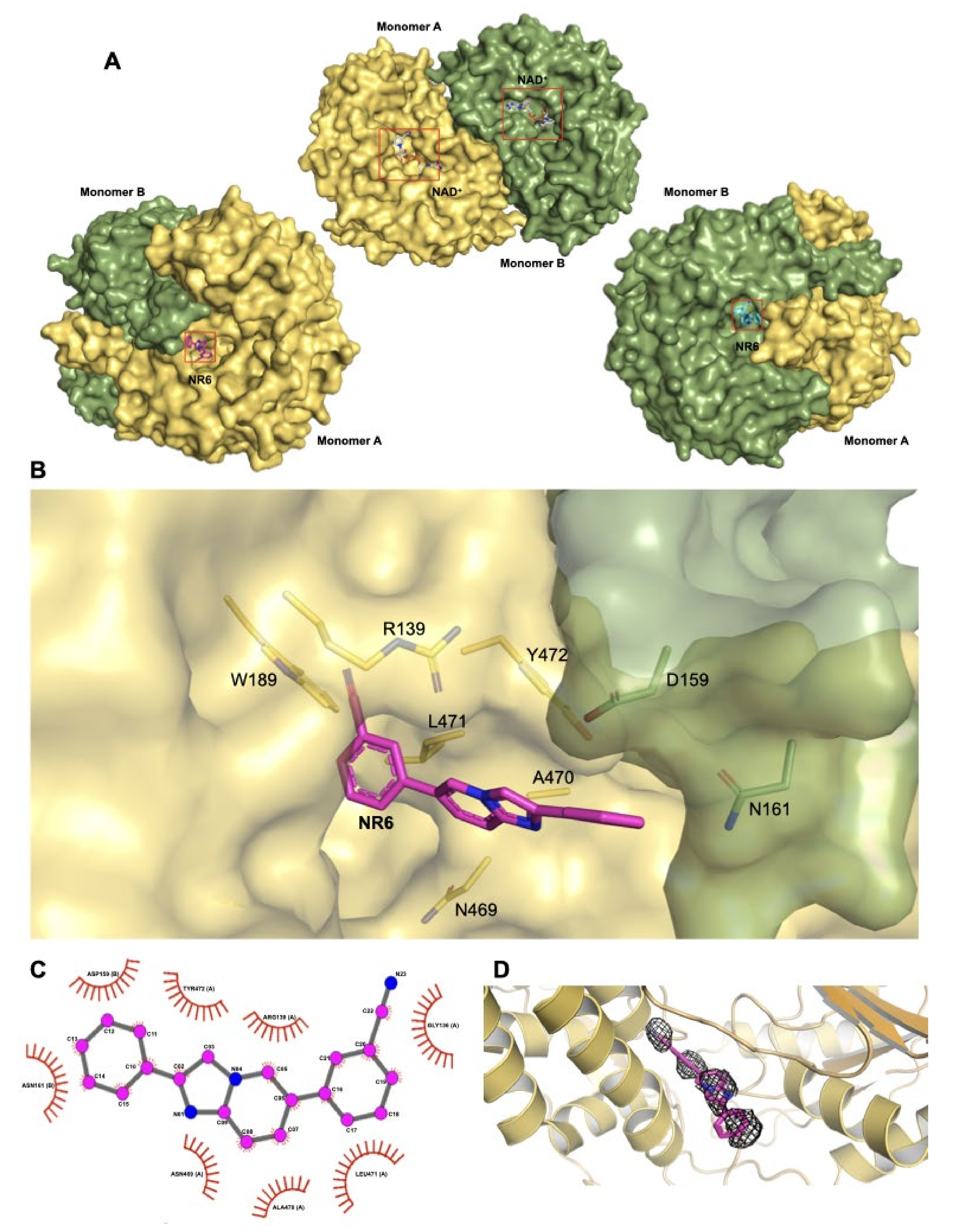 Cancers 13 00356 g002
