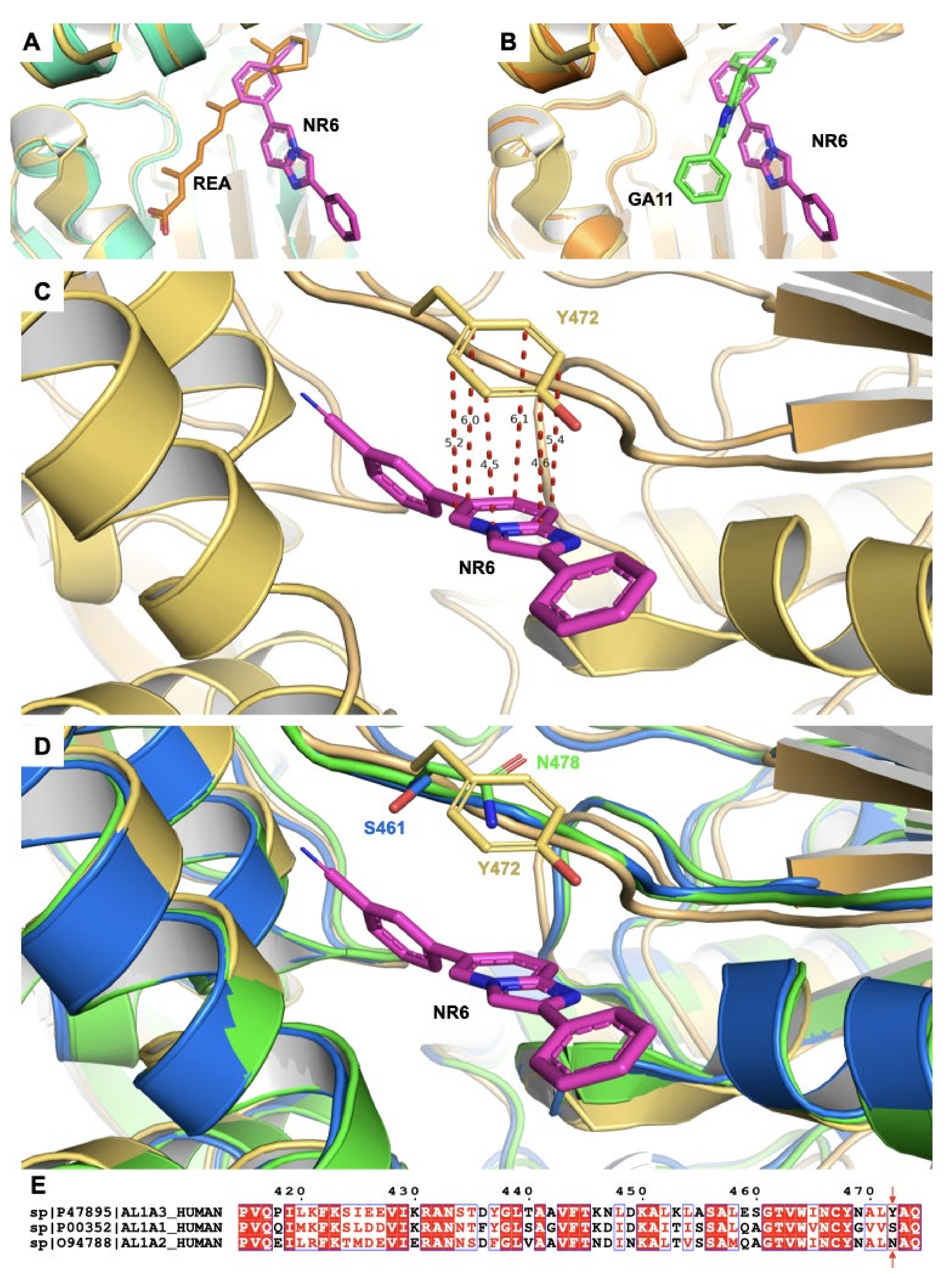 Cancers 13 00356 g003
