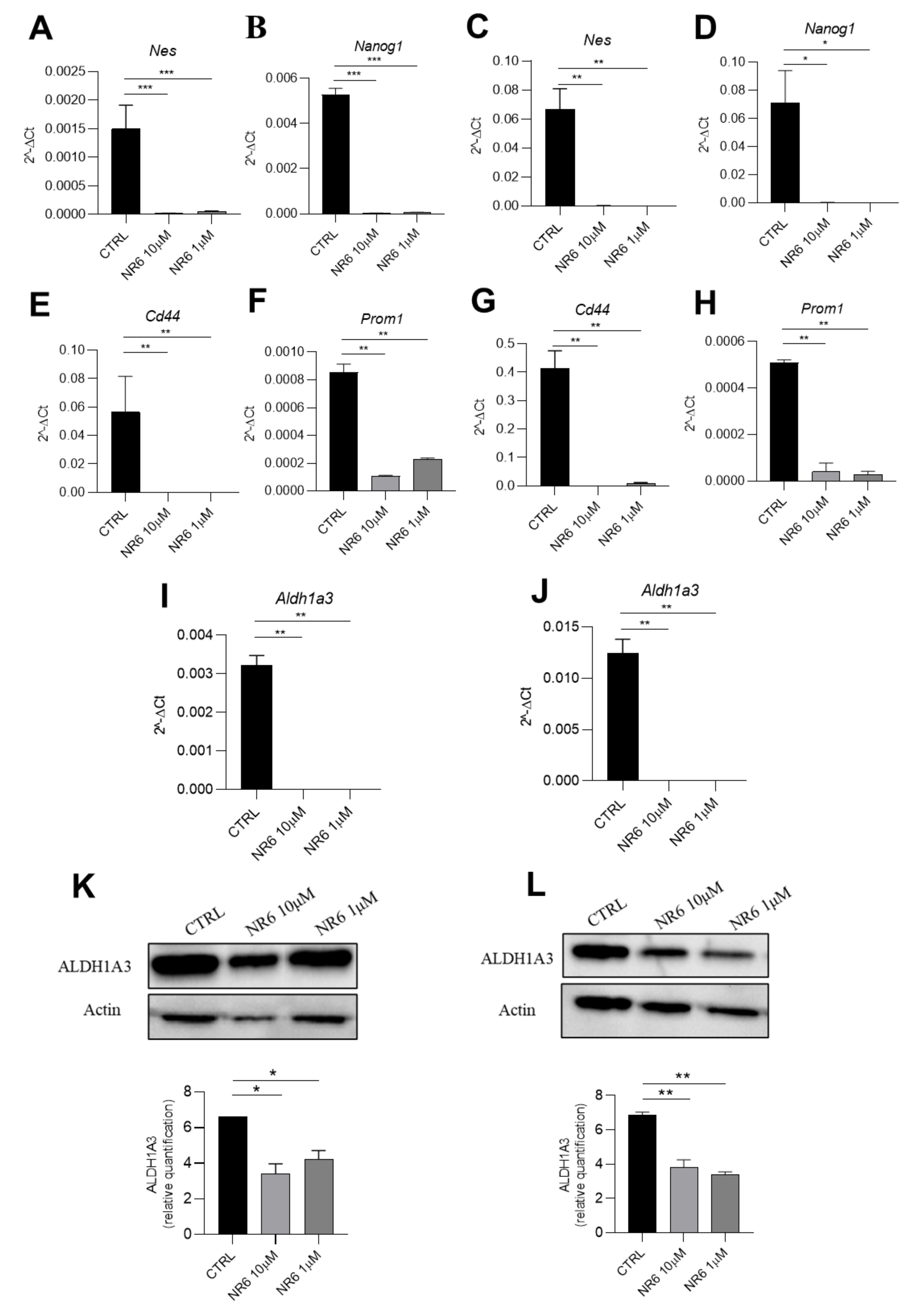 Cancers 13 00356 g007