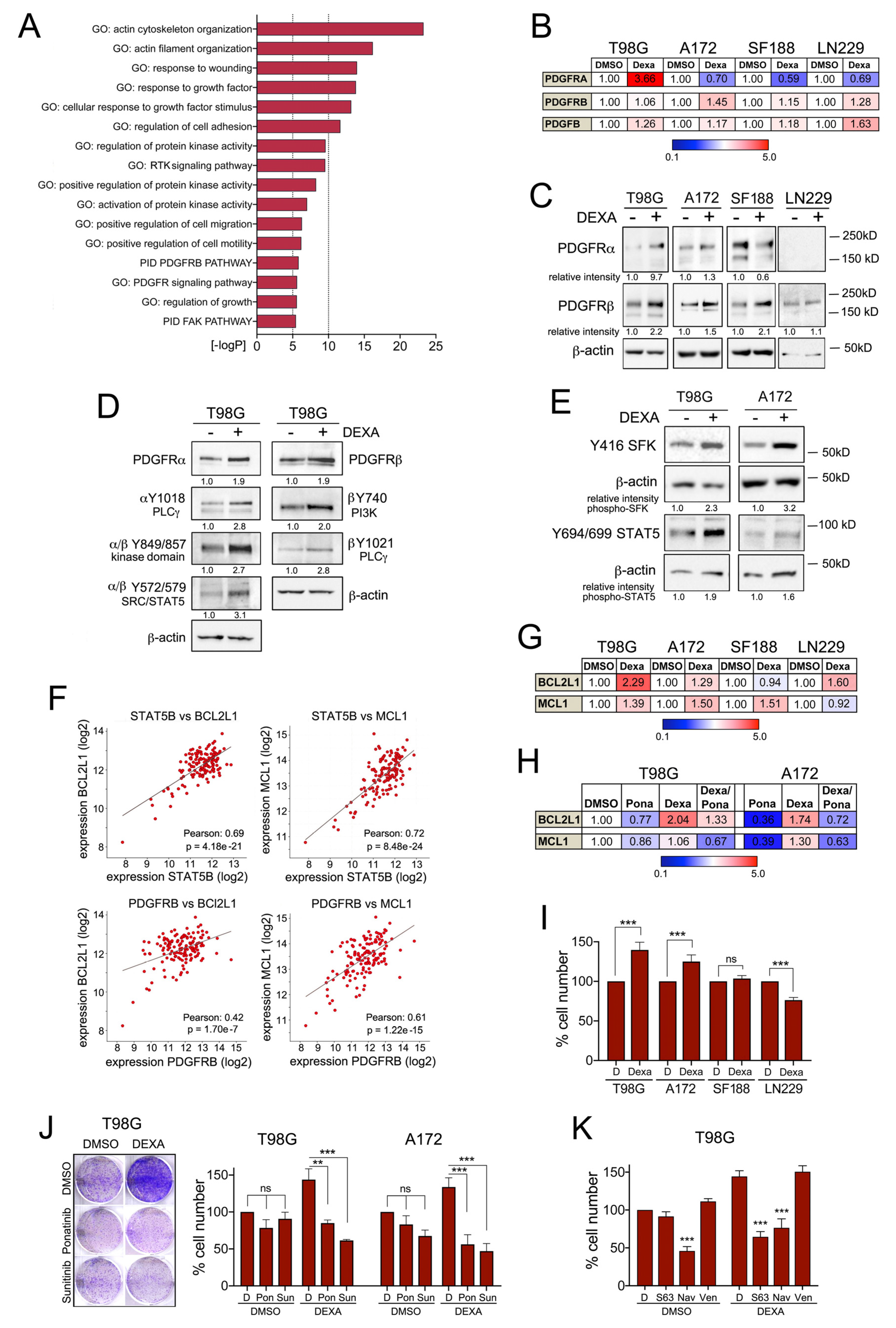 Cancers 13 00361 g003 Cancers 13 00361 g003