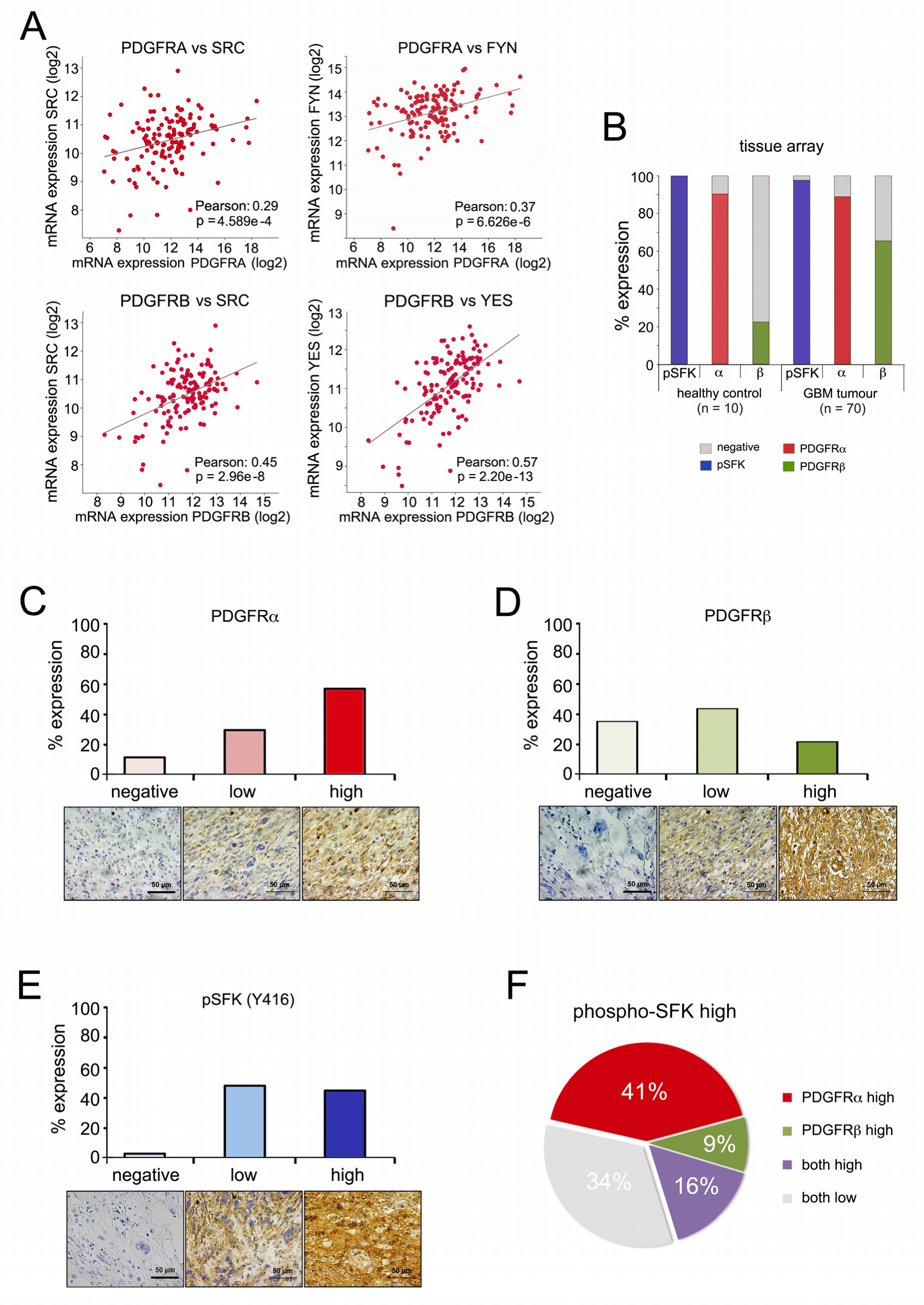 Cancers 13 00361 g004 Cancers 13 00361 g004
