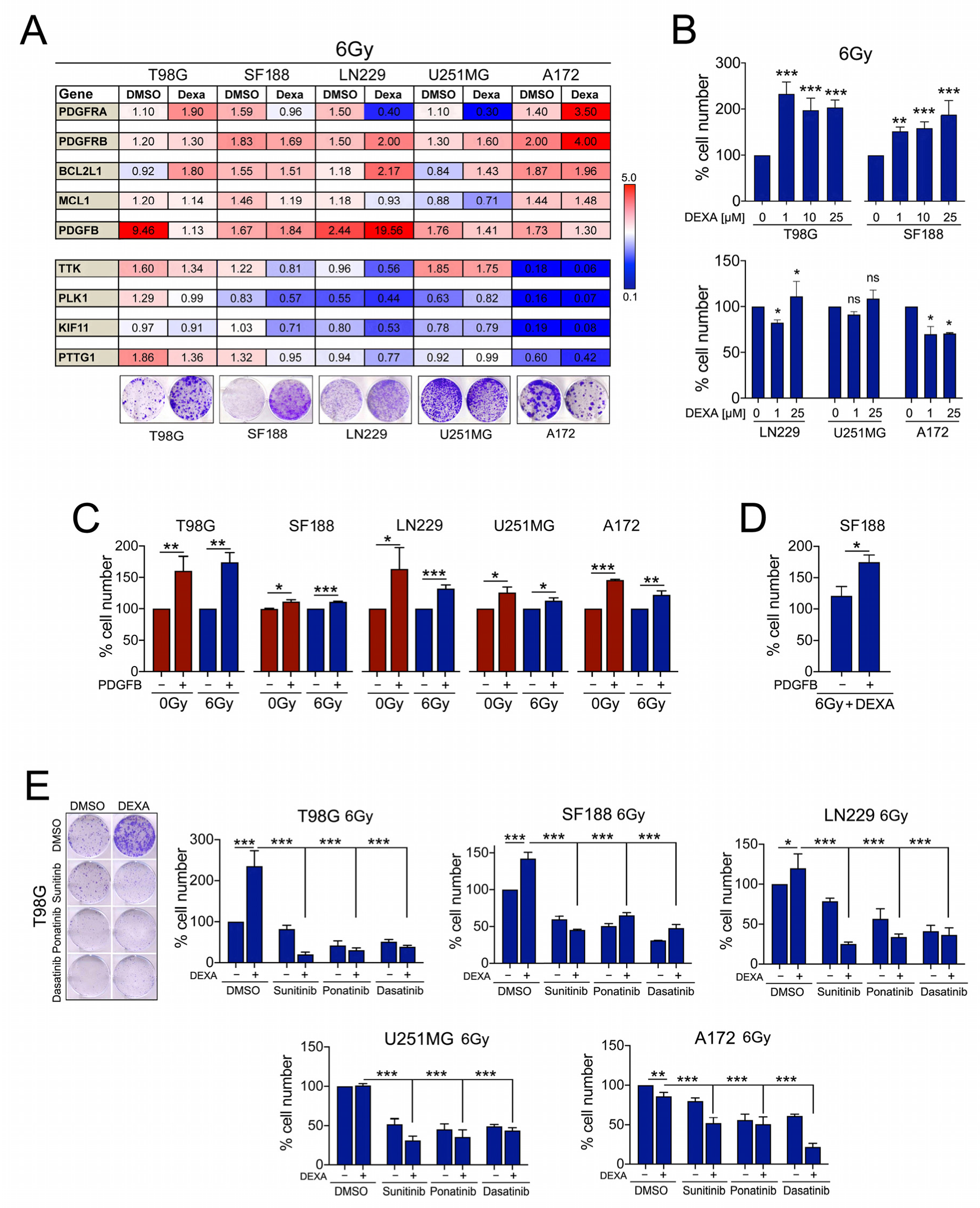 Cancers 13 00361 g005 Cancers 13 00361 g005