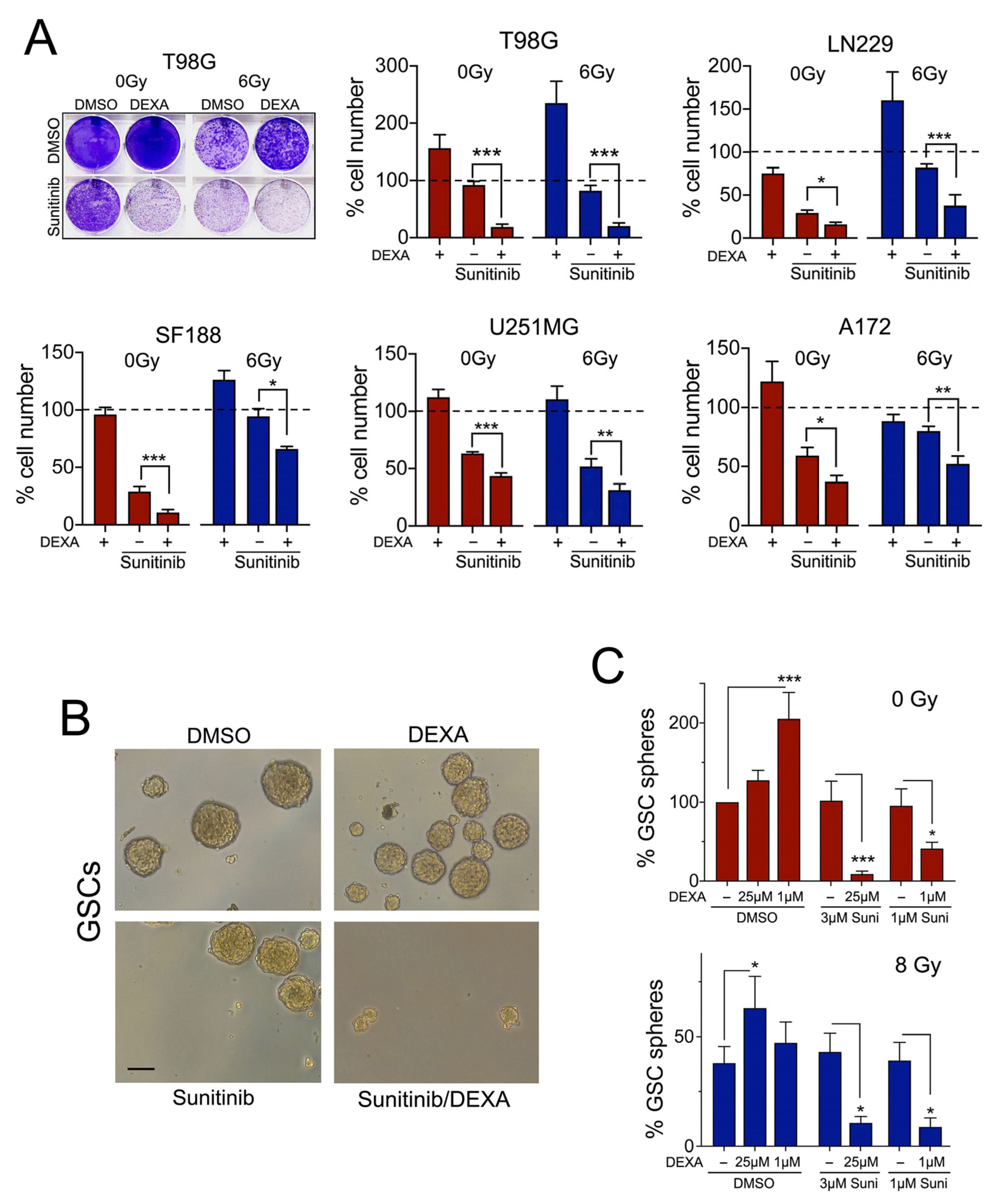 Cancers 13 00361 g006 Cancers 13 00361 g006