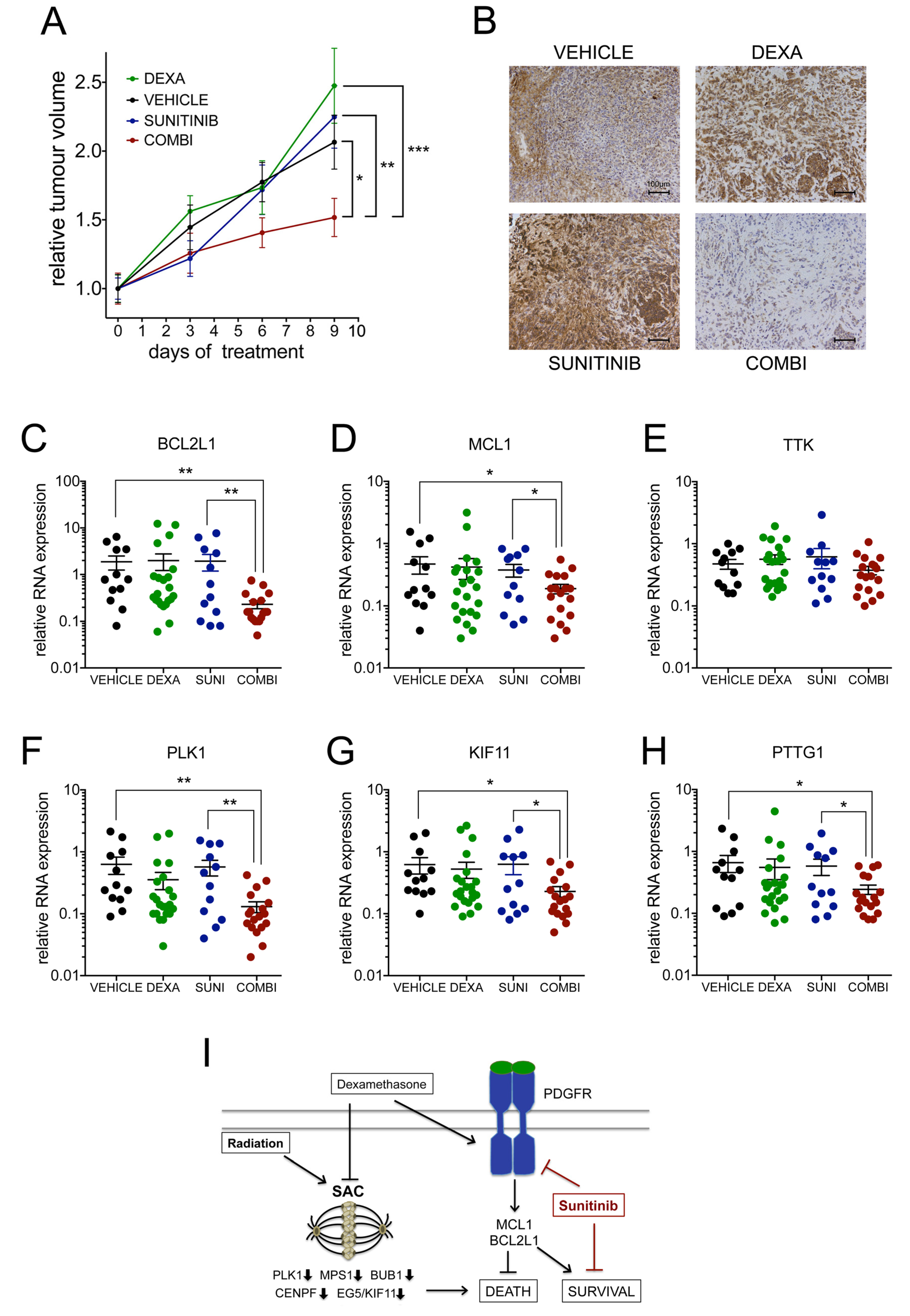 Cancers 13 00361 g007 Cancers 13 00361 g007