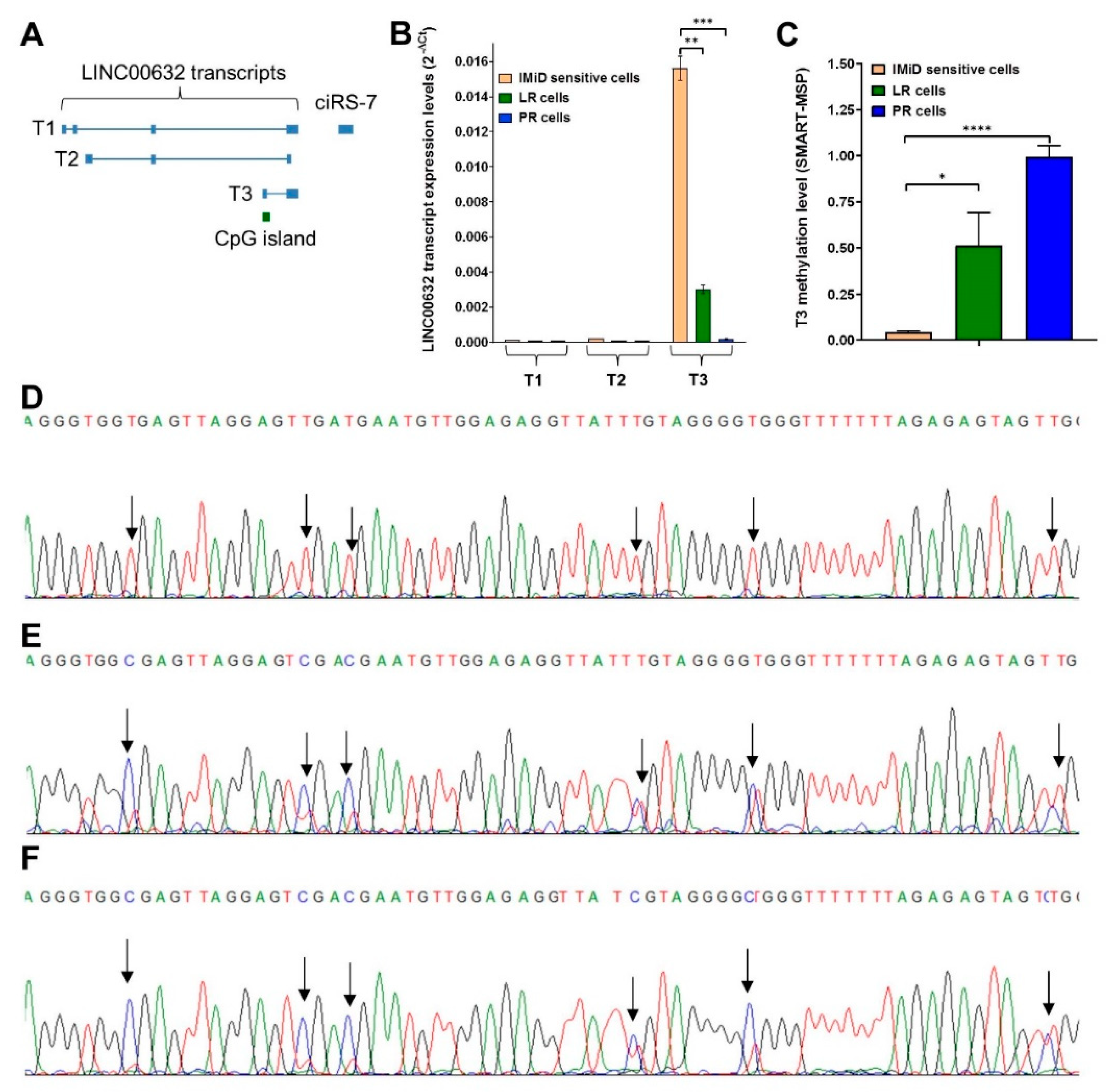 Cancers 13 00365 g005