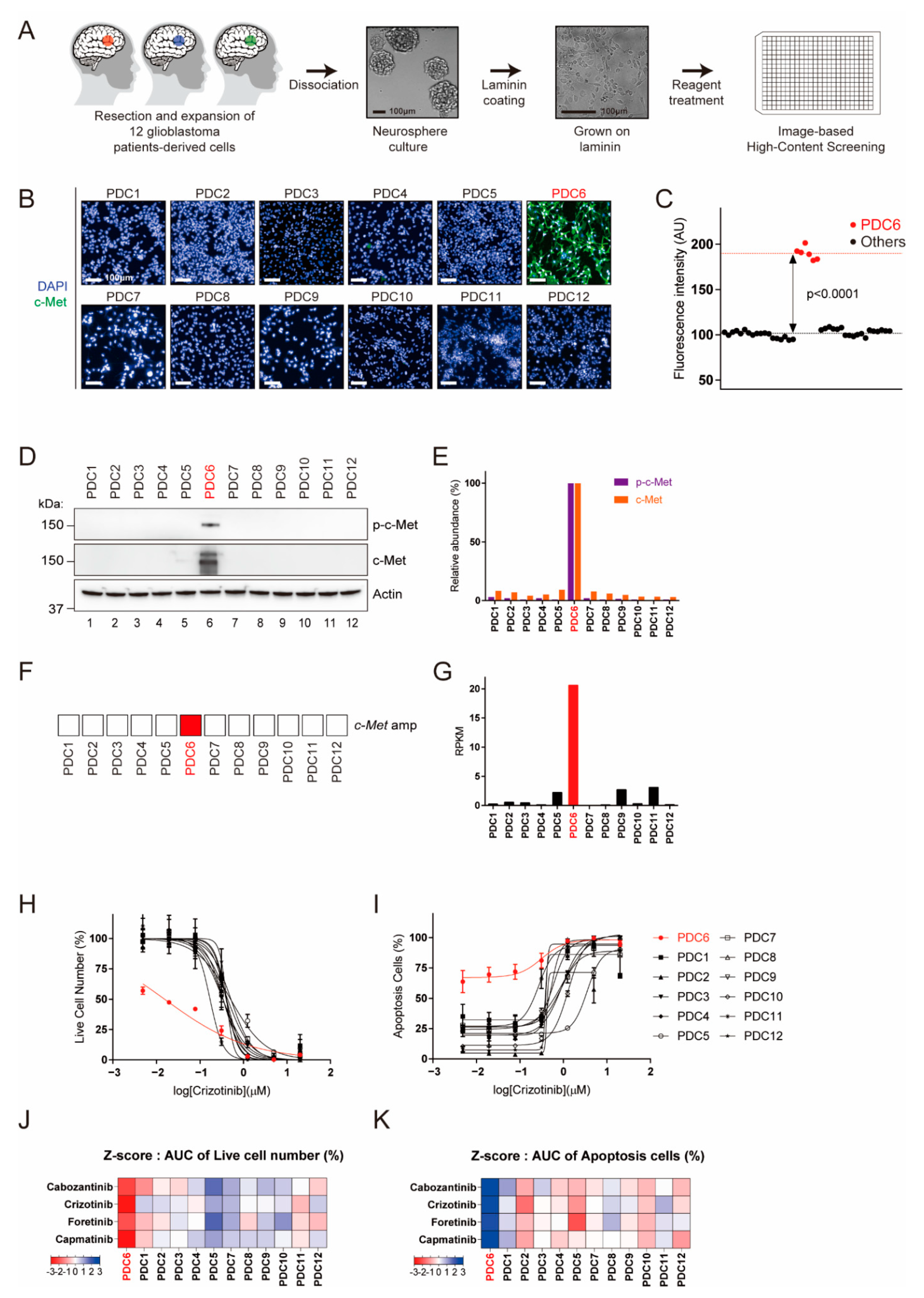 Cancers 13 00372 g001