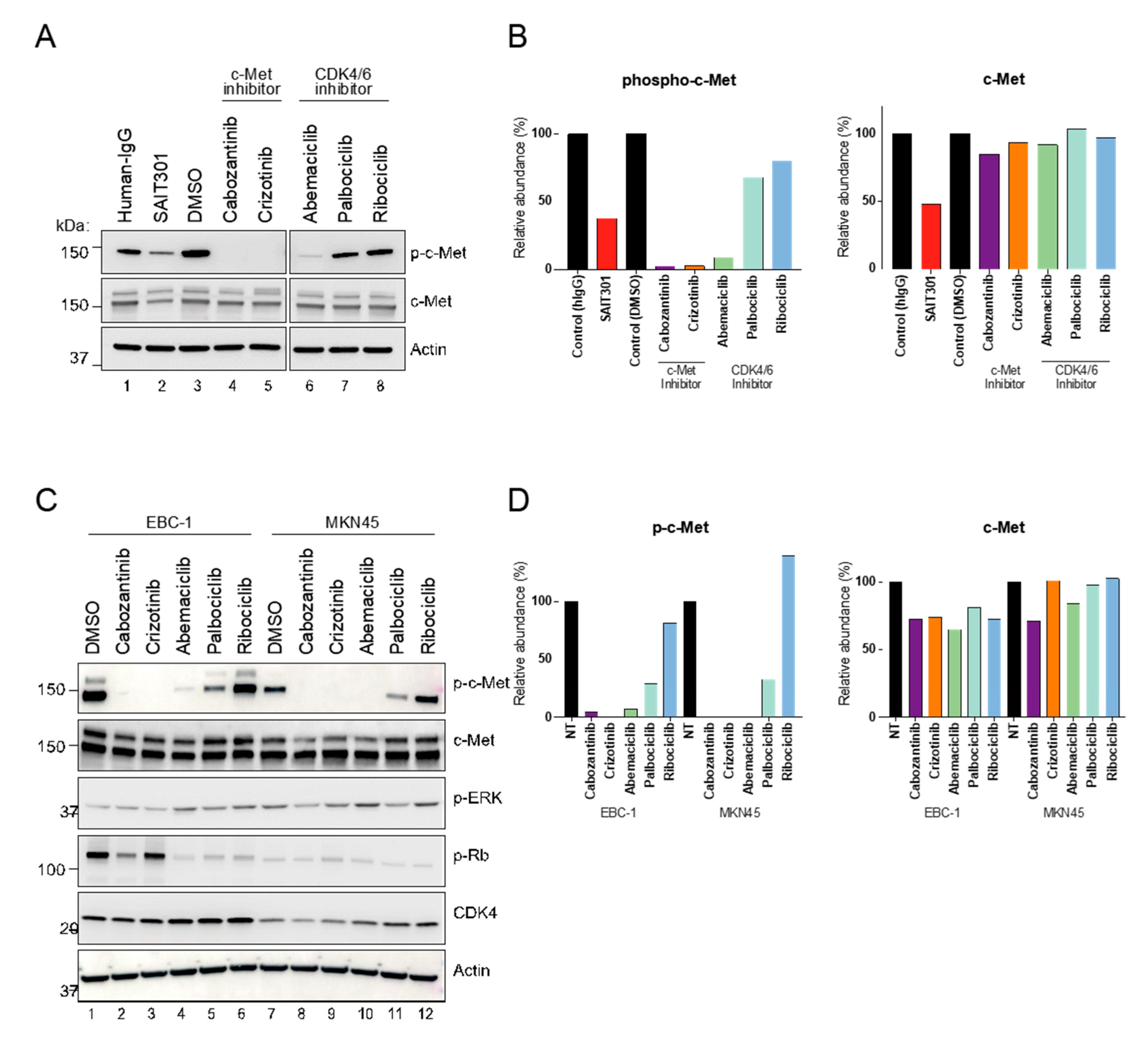 Cancers 13 00372 g004