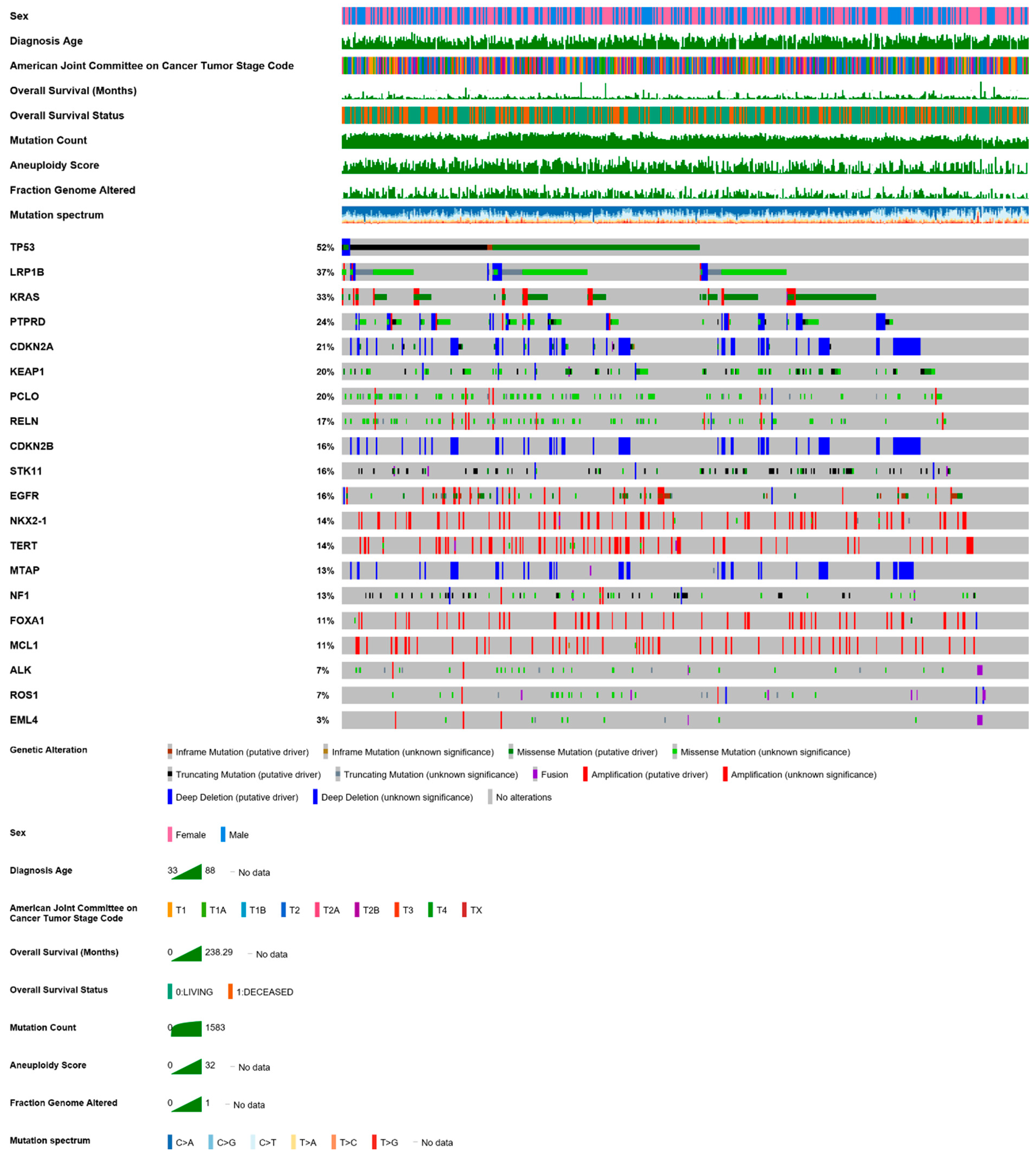 Cancers 13 00384 g001 Cancers 13 00384 g001
