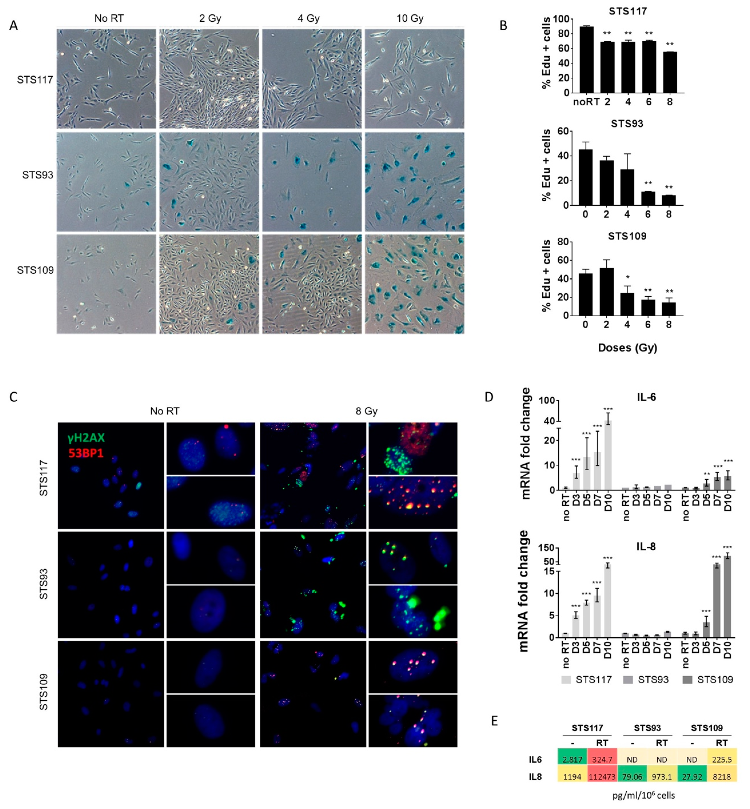Cancers 13 00386 g002 Cancers 13 00386 g002