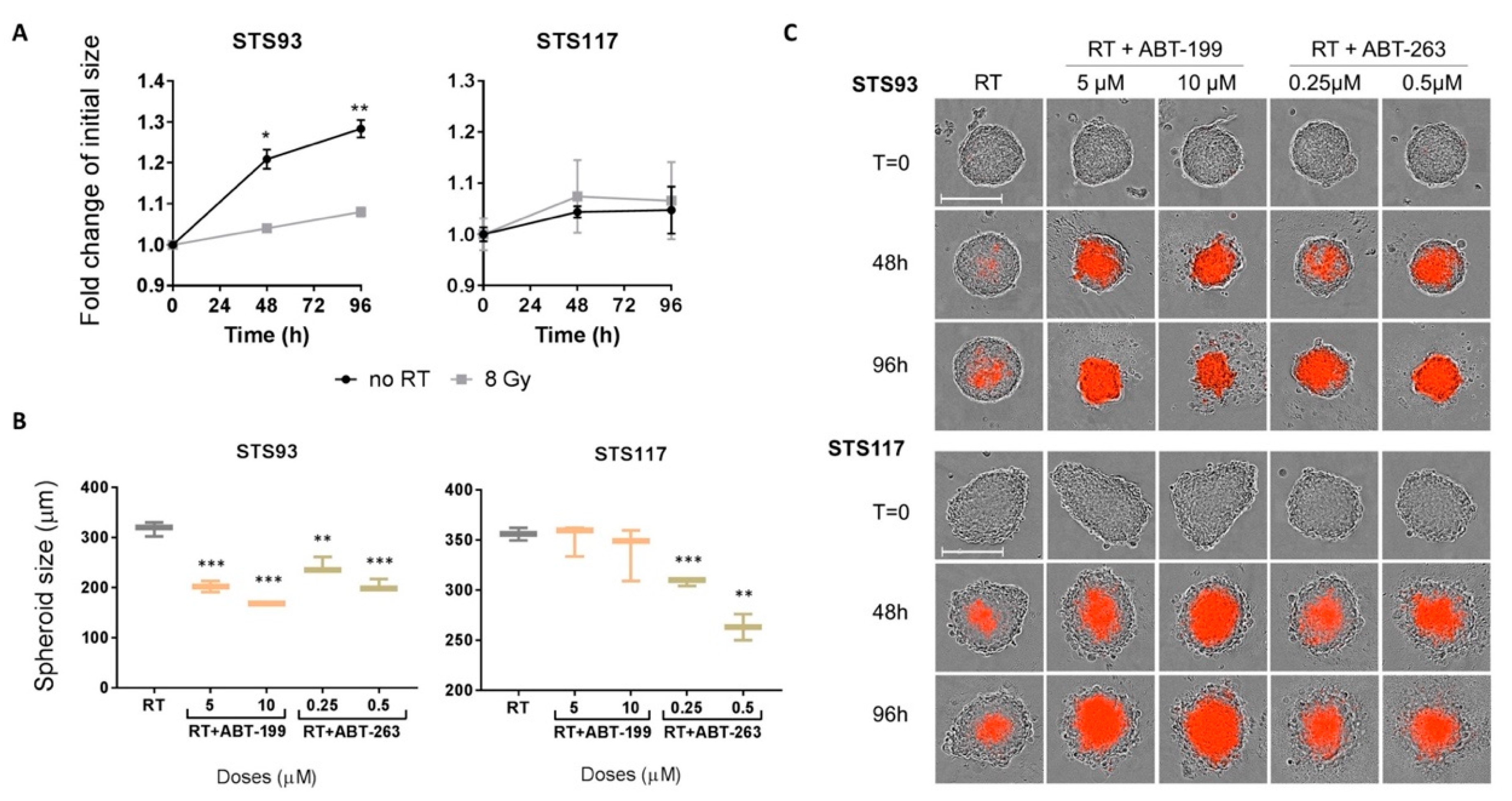 Cancers 13 00386 g005 Cancers 13 00386 g005