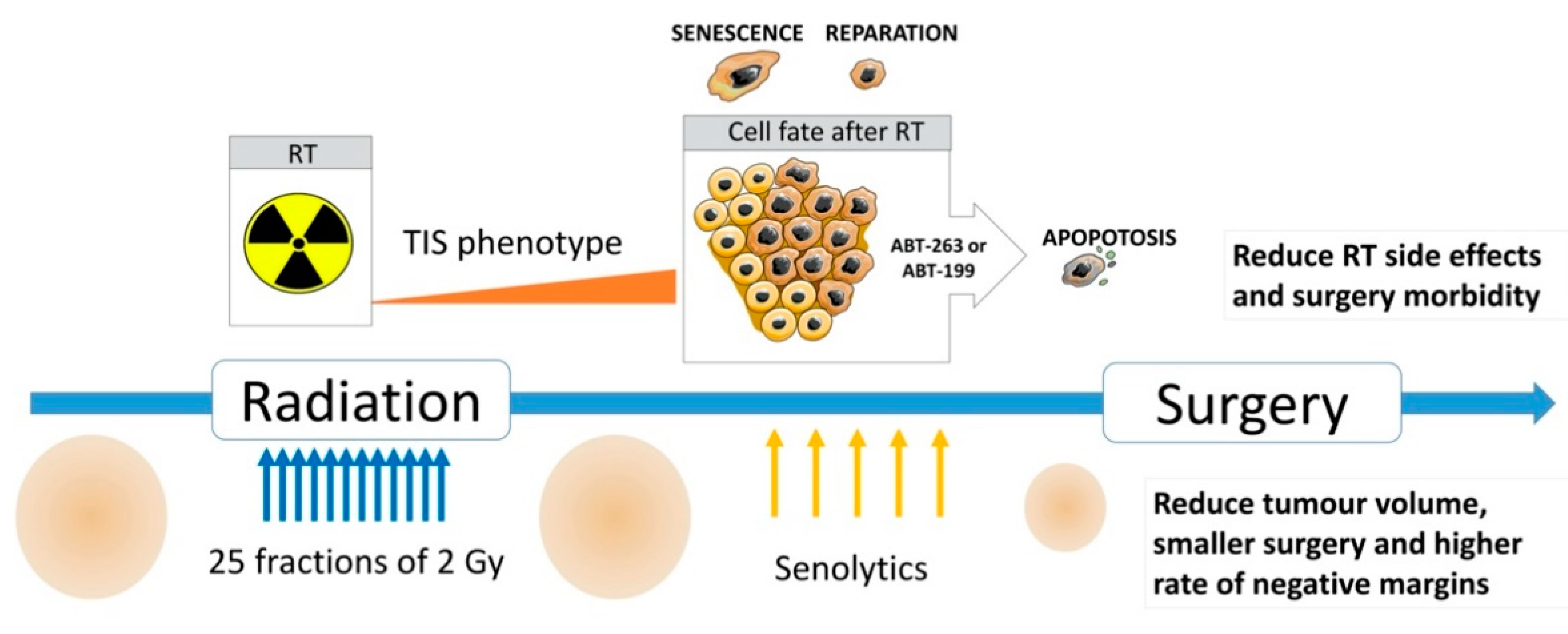 Cancers 13 00386 g006 Cancers 13 00386 g006