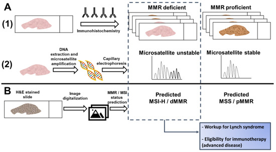 Cancers 13 00391 g001 550