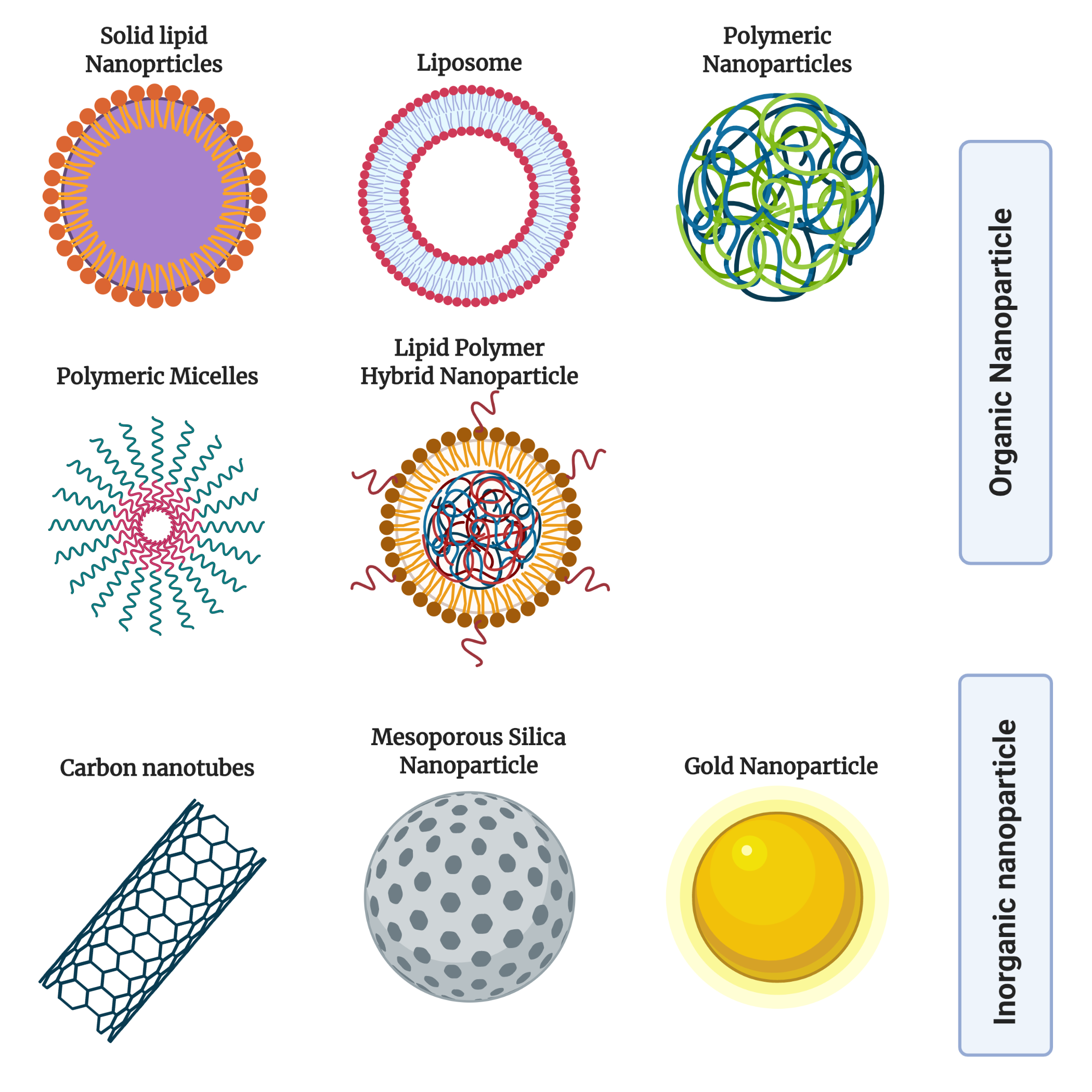 Cancers | Free Full-Text | Advances in Nanocarriers for Effective