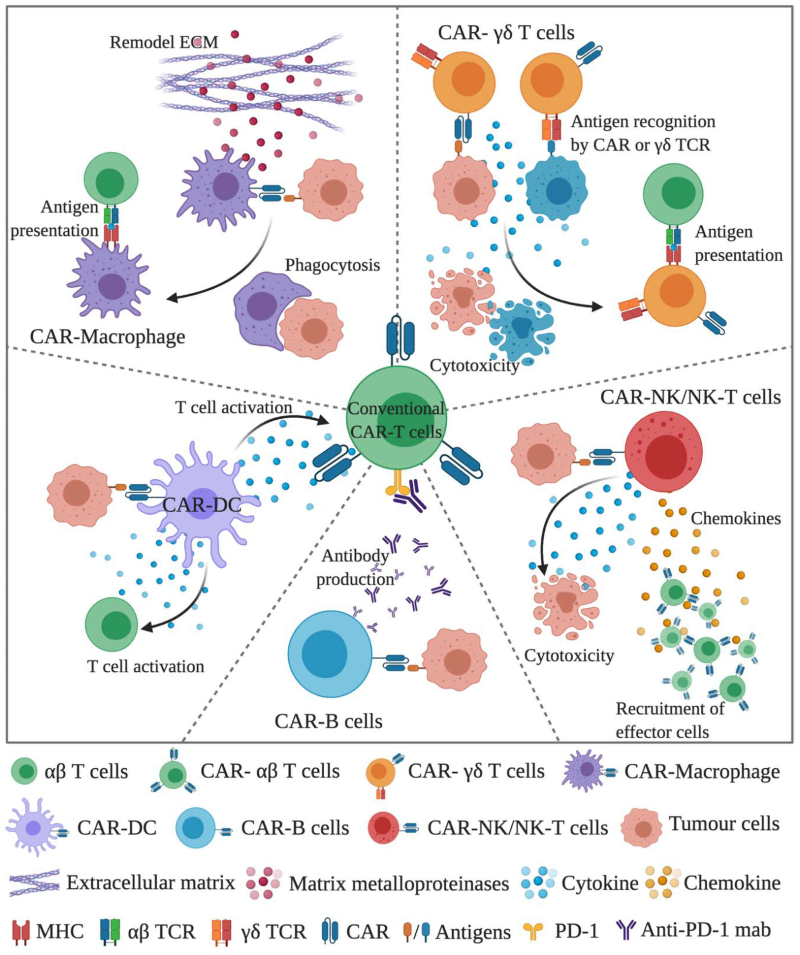 Cancers 13 00404 g001