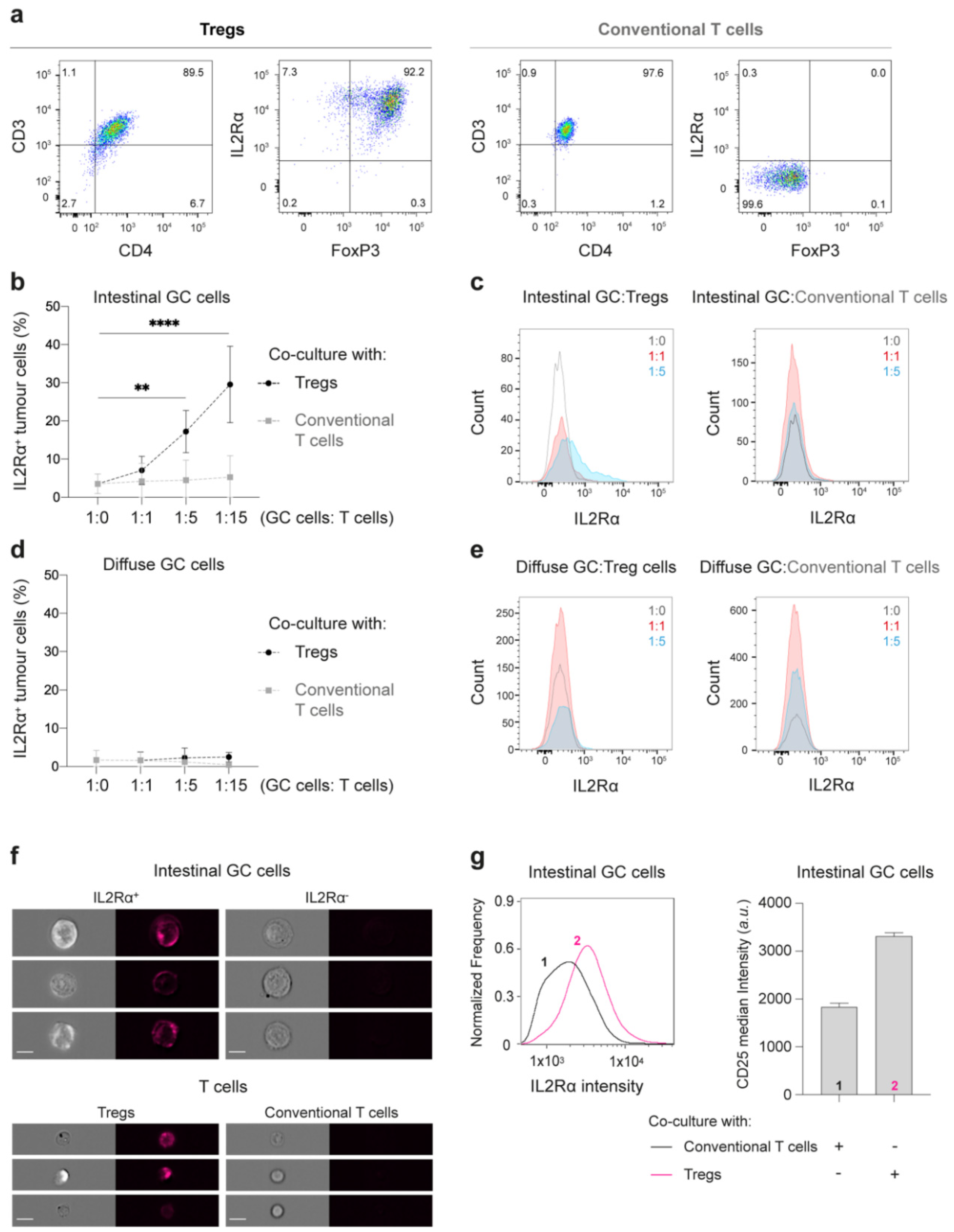 Cancers 13 00421 g004