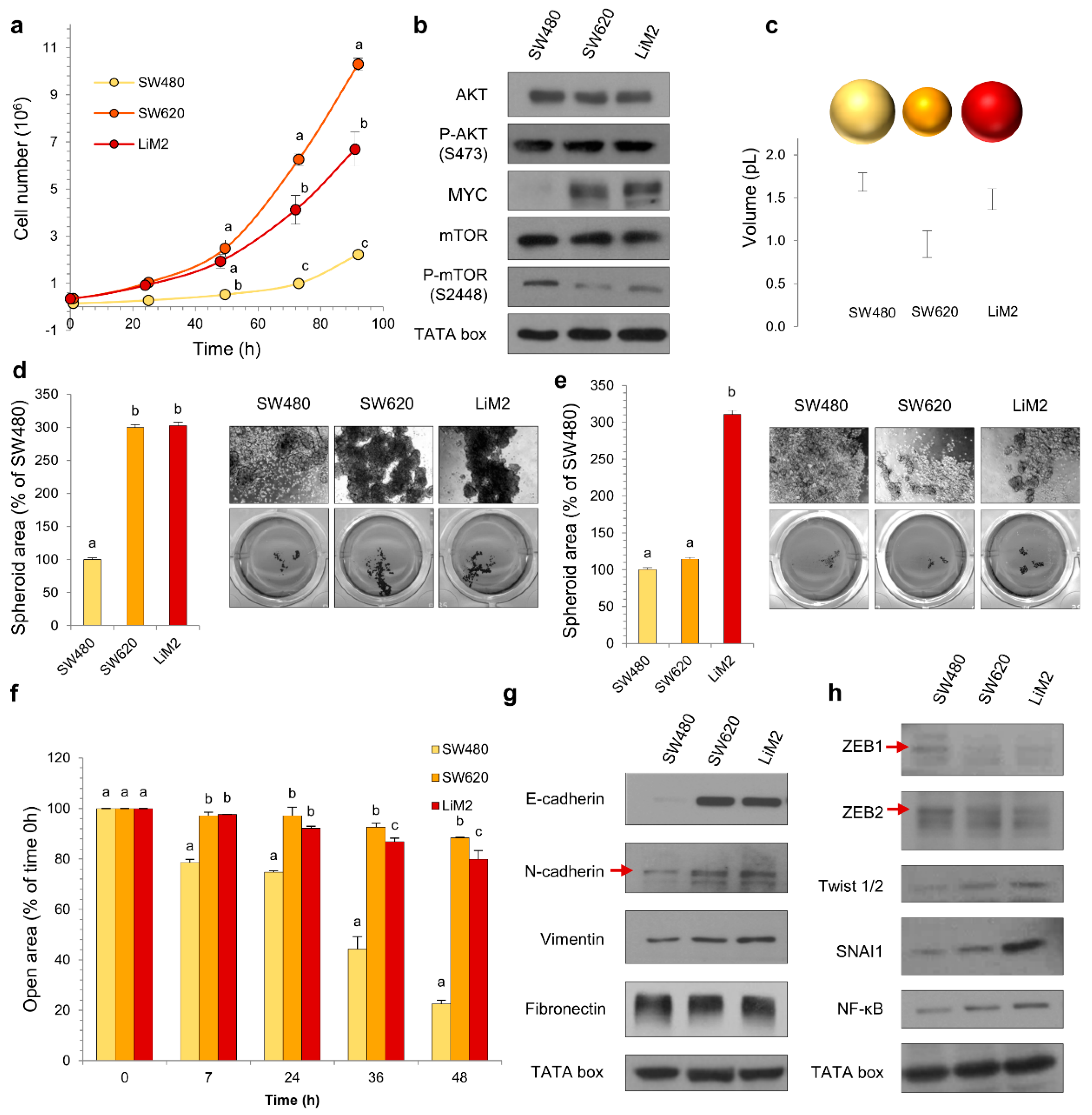 Cancers 13 00425 g001 Cancers 13 00425 g001