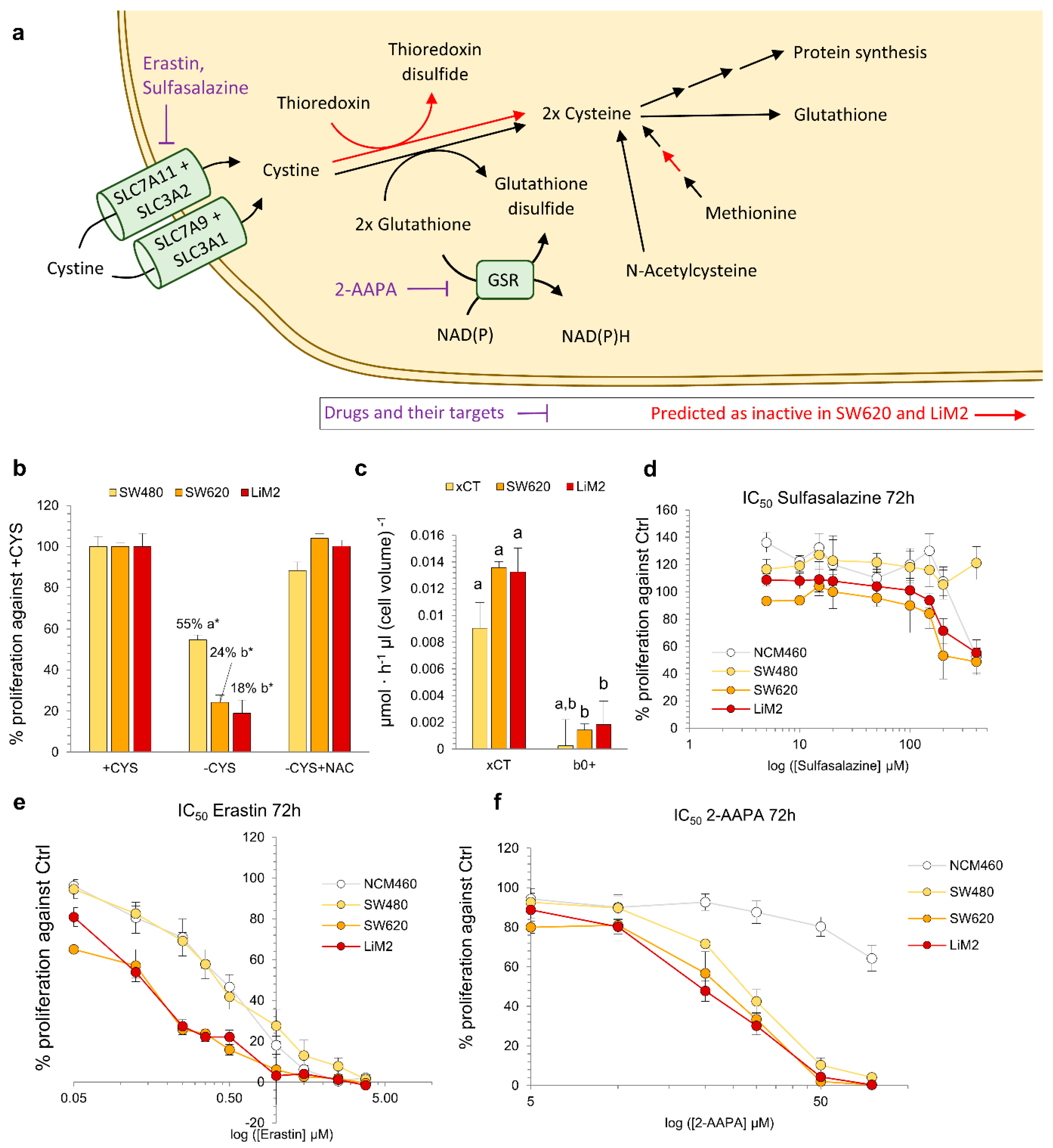Cancers 13 00425 g005 Cancers 13 00425 g005