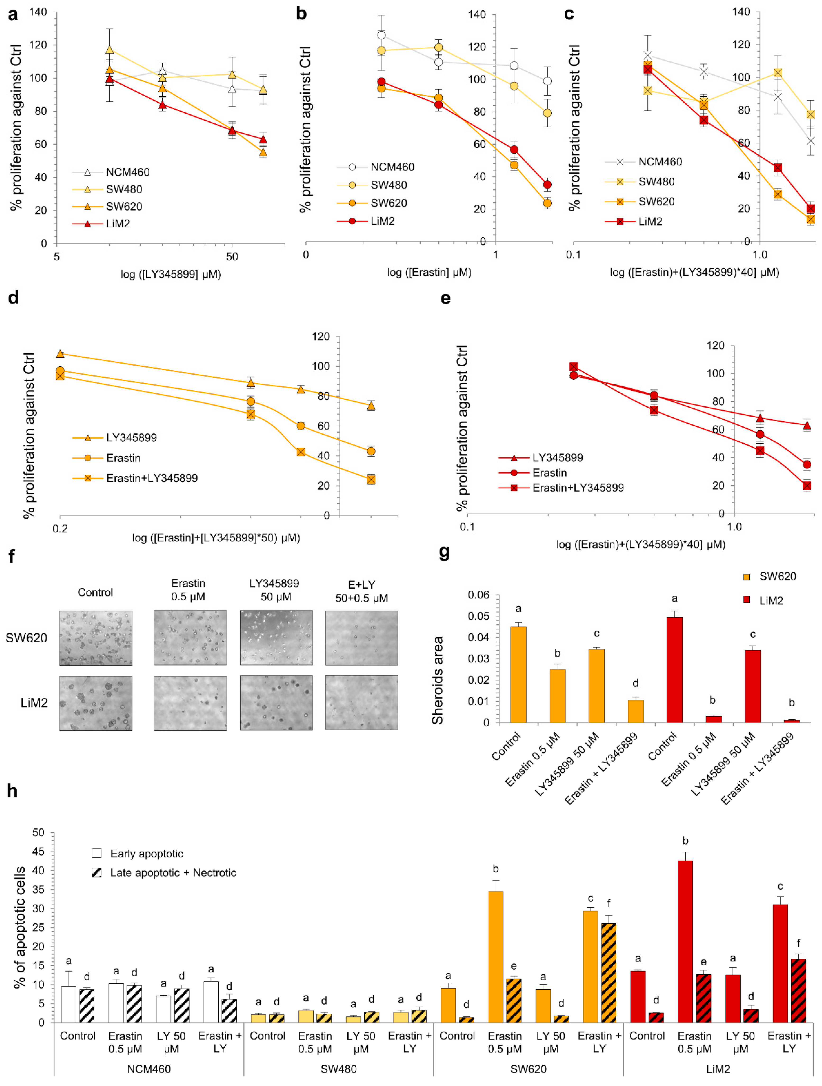 Cancers 13 00425 g007 Cancers 13 00425 g007