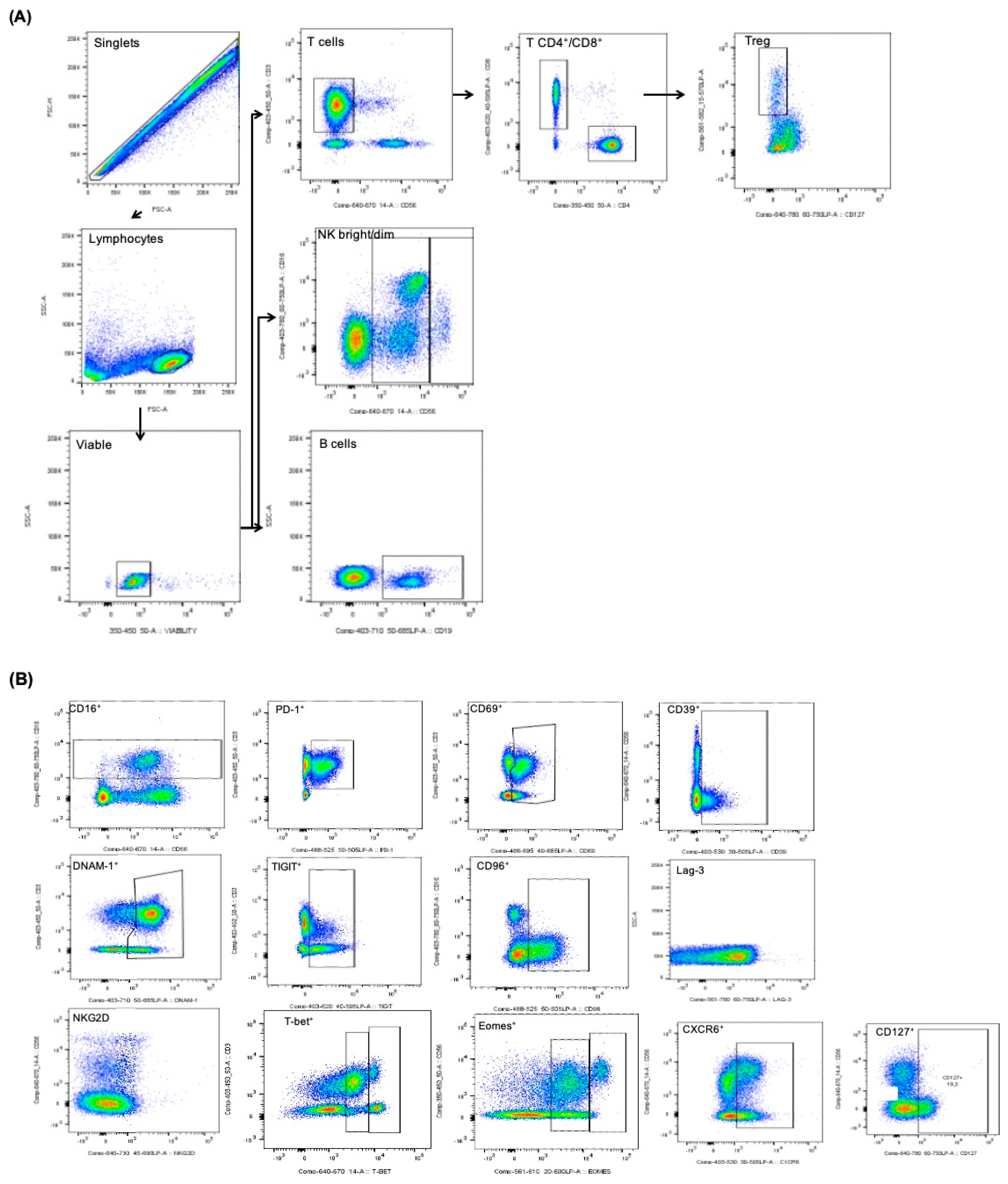 Cancers 13 00426 g001 Cancers 13 00426 g001