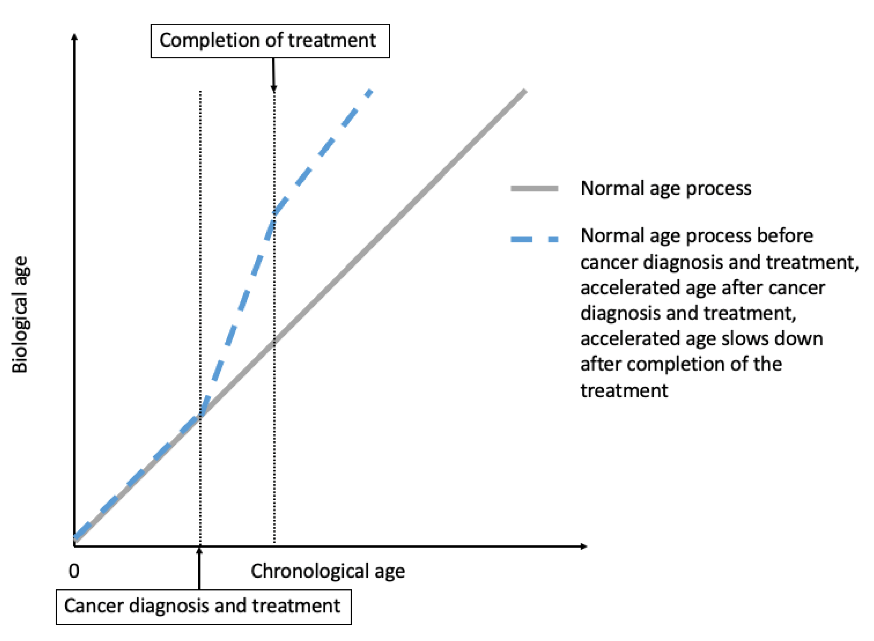 Cancers 13 00427 g001 Cancers 13 00427 g001