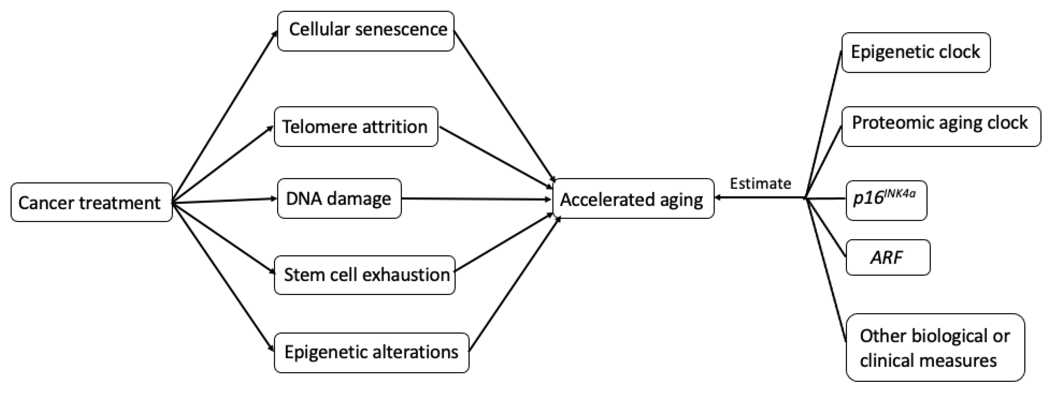 Cancers 13 00427 g002 Cancers 13 00427 g002