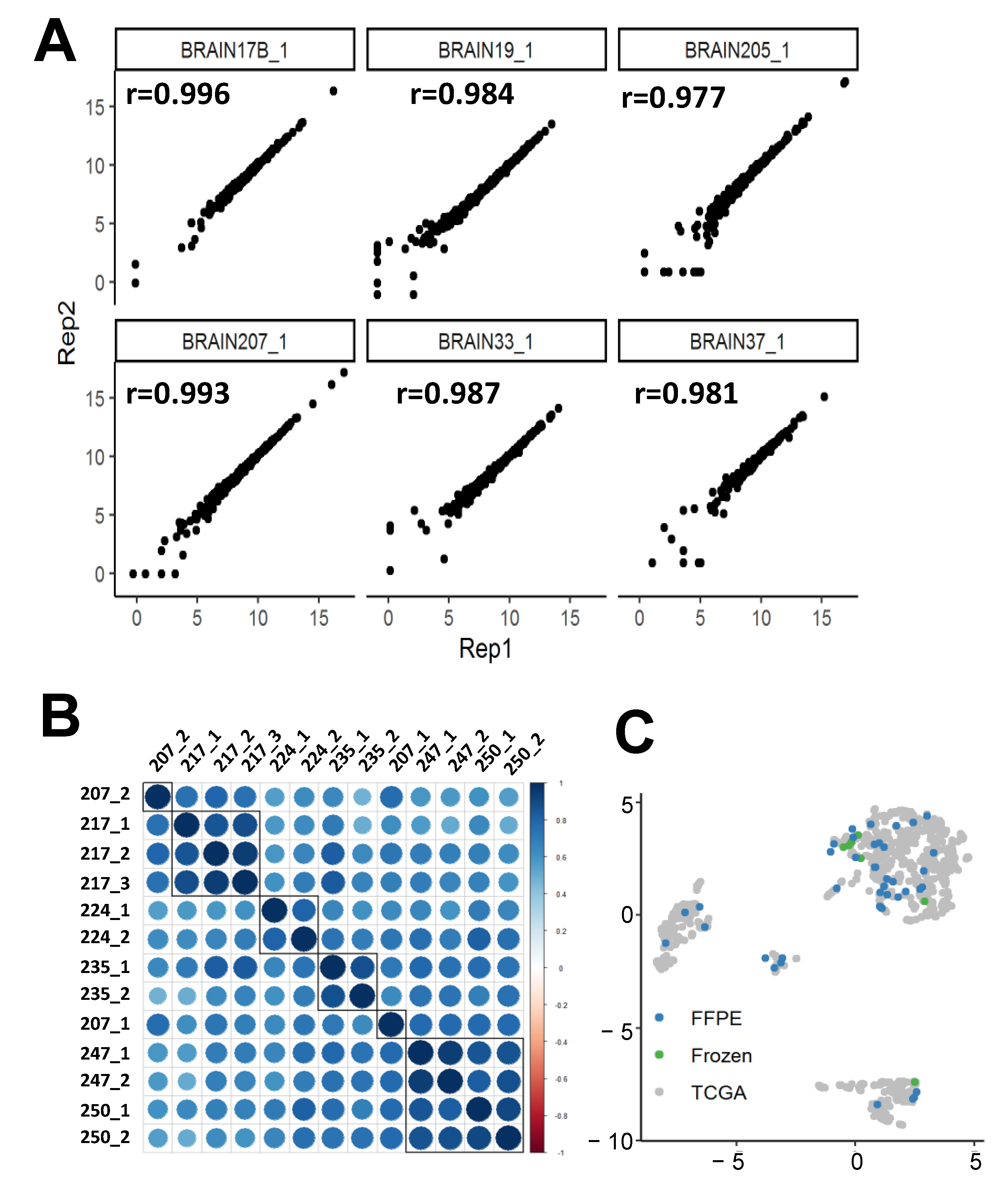 Cancers 13 00439 g002 Cancers 13 00439 g002